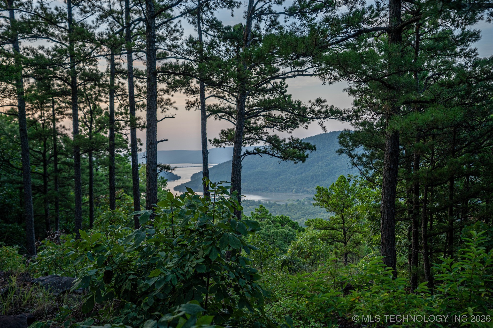 Savage Road Property Photo 36