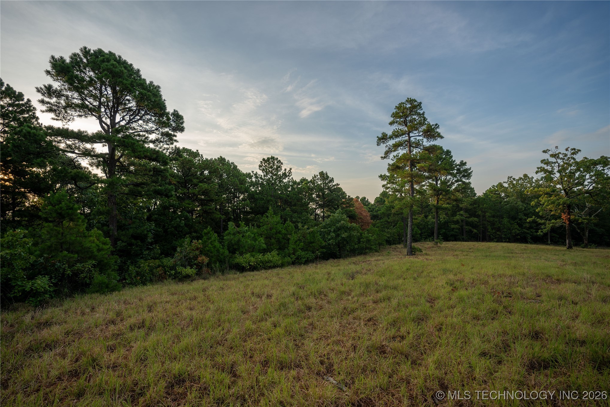 Savage Road Property Photo 37