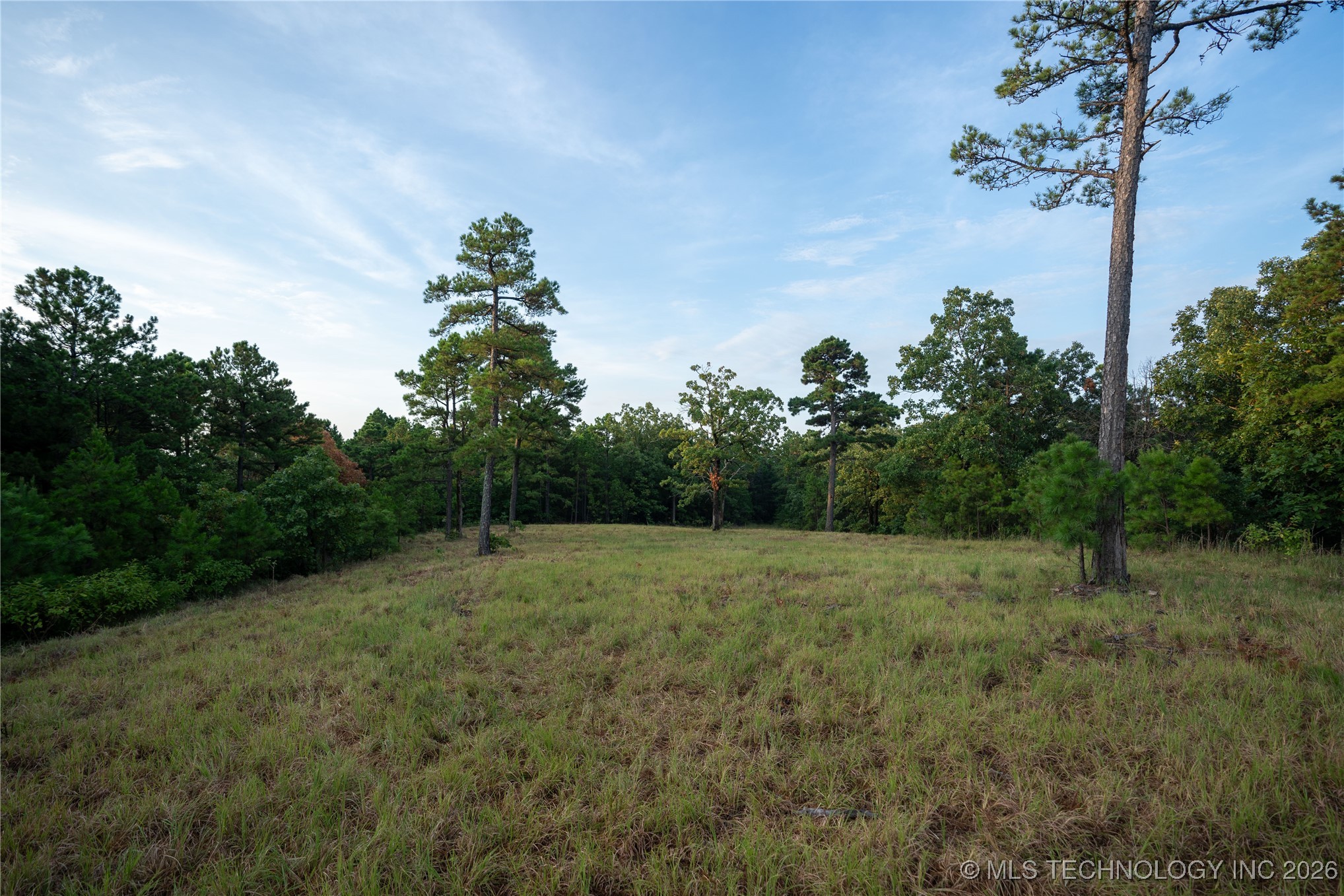 Savage Road Property Photo 38