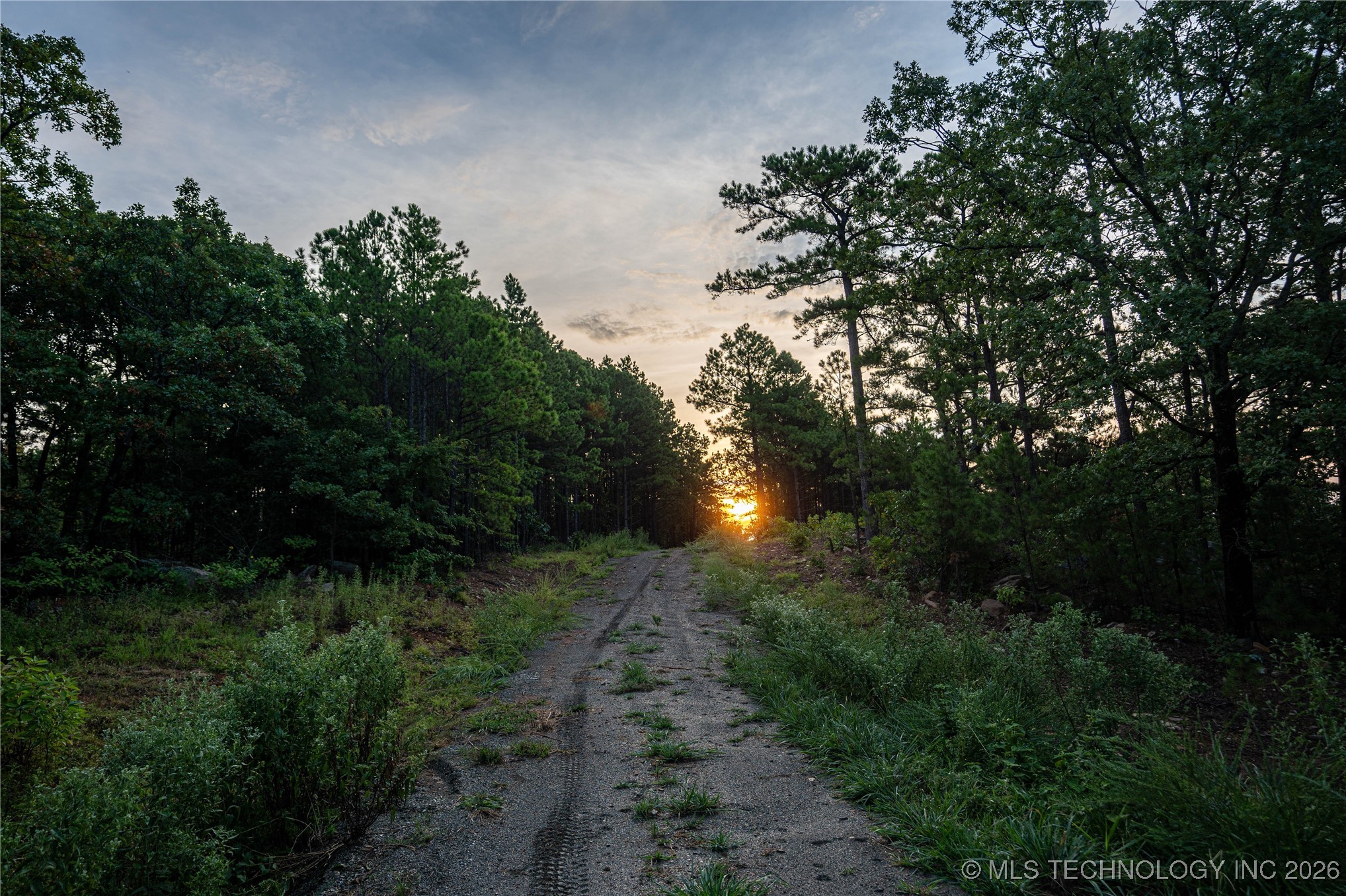 Savage Road Property Photo 39