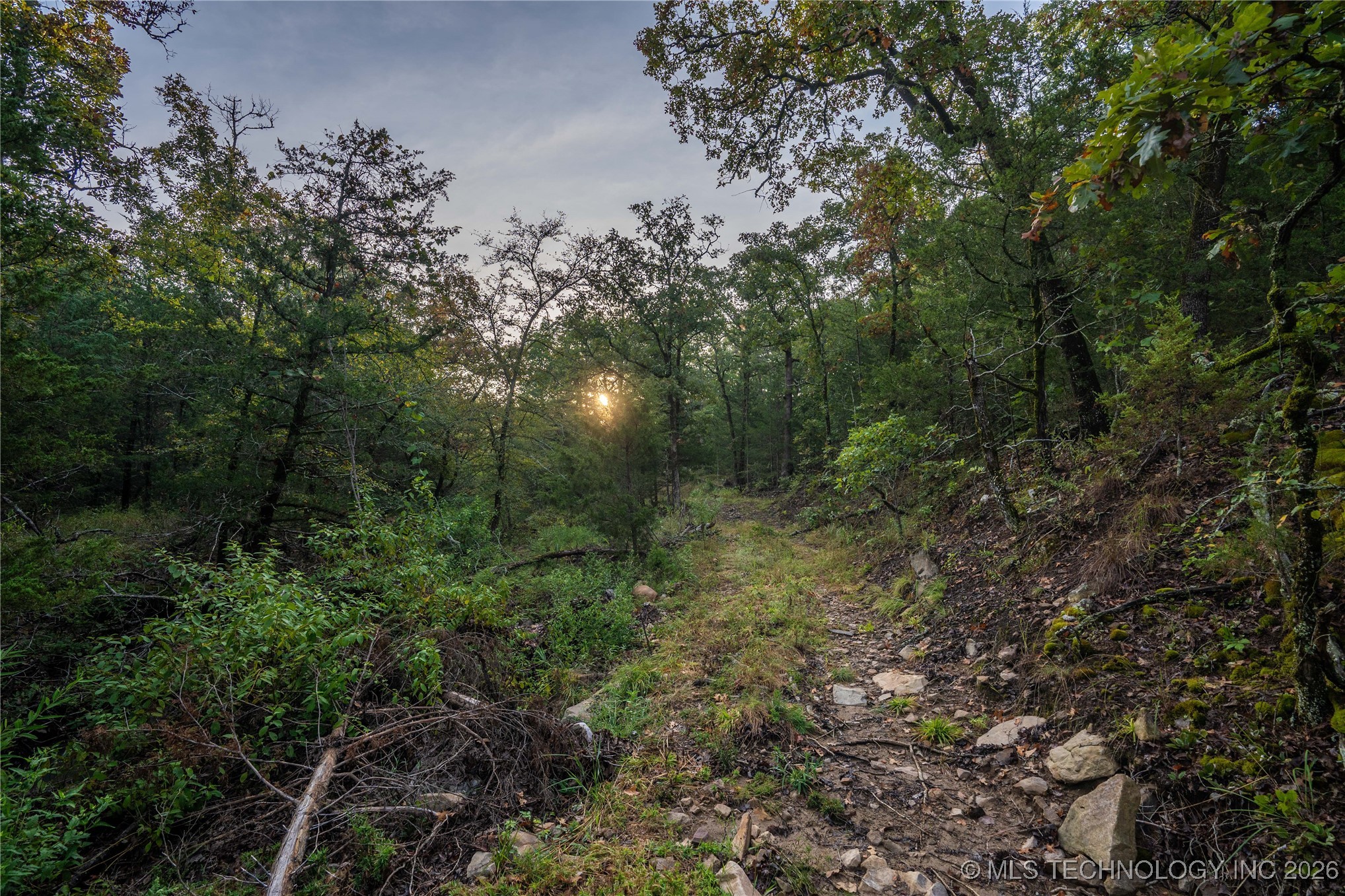 Savage Road Property Photo 40