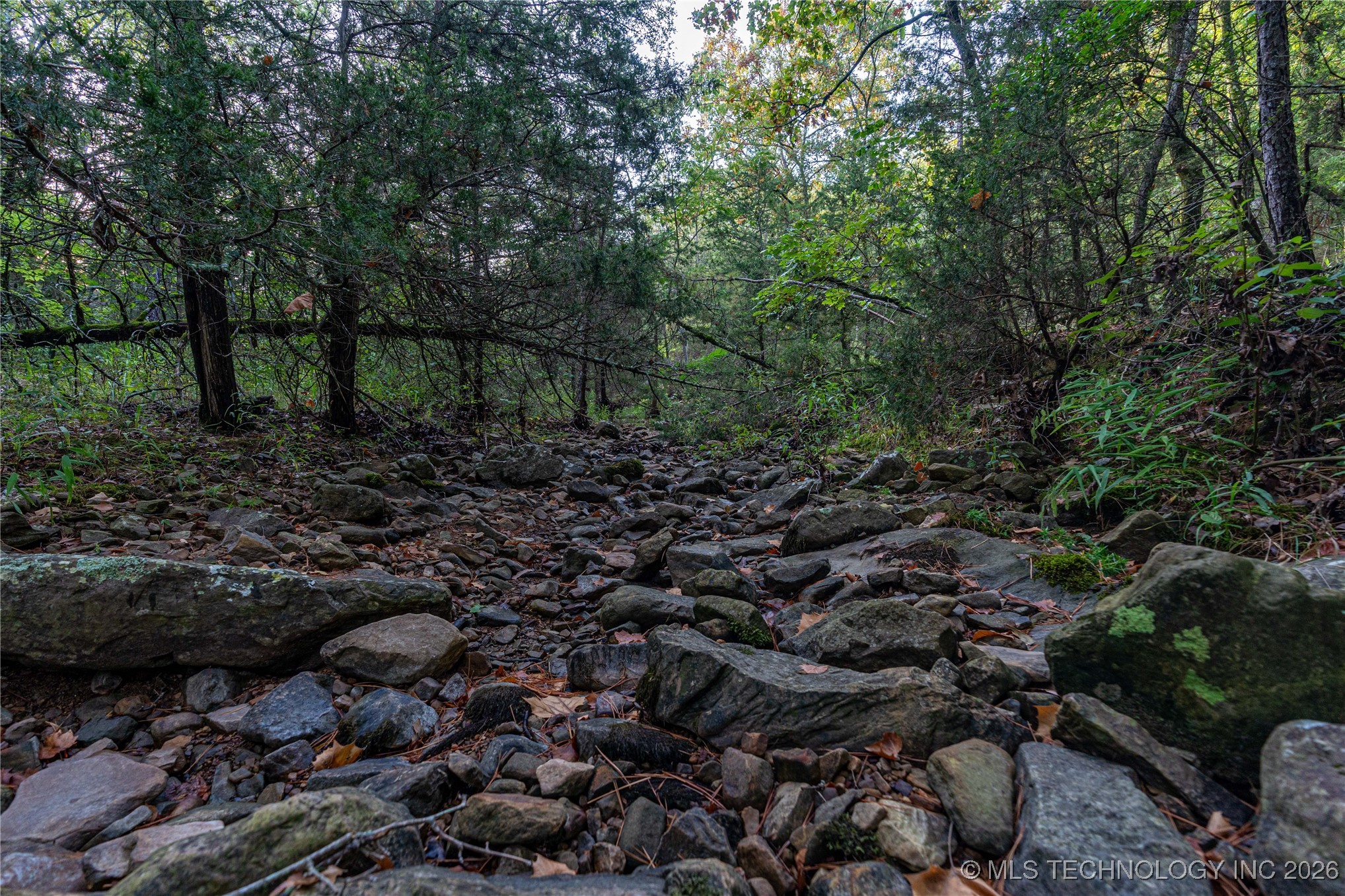 Savage Road Property Photo 41