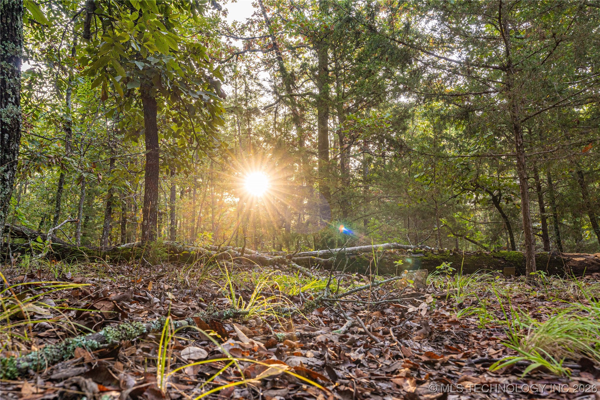 Savage Road Property Photo 42