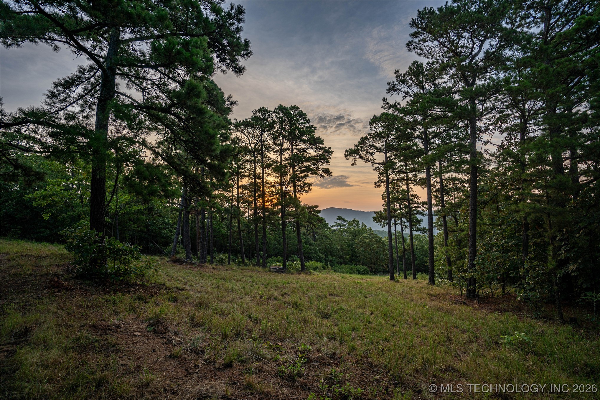 Savage Road Property Photo 43