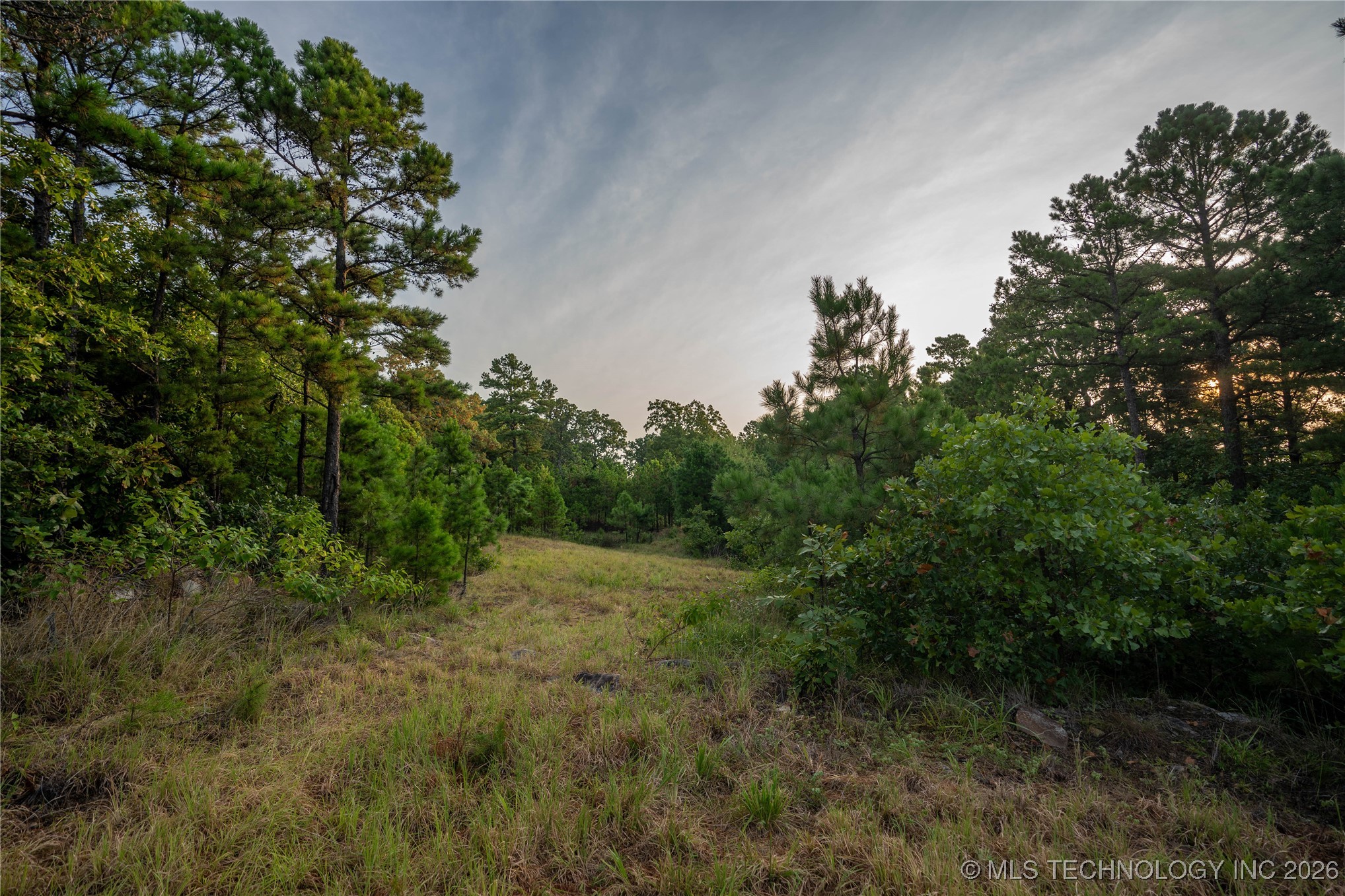 Savage Road Property Photo 44