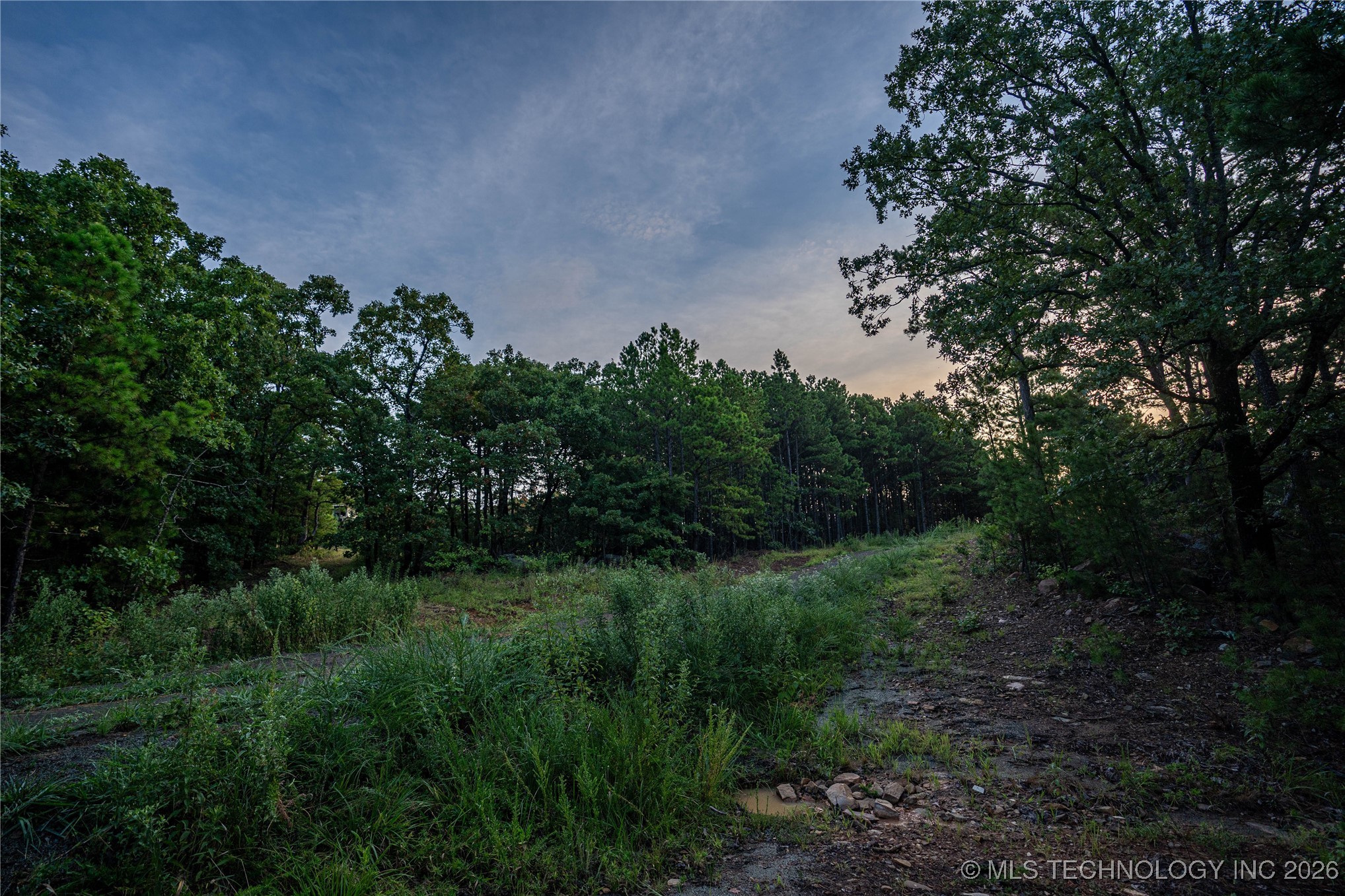 Savage Road Property Photo 45