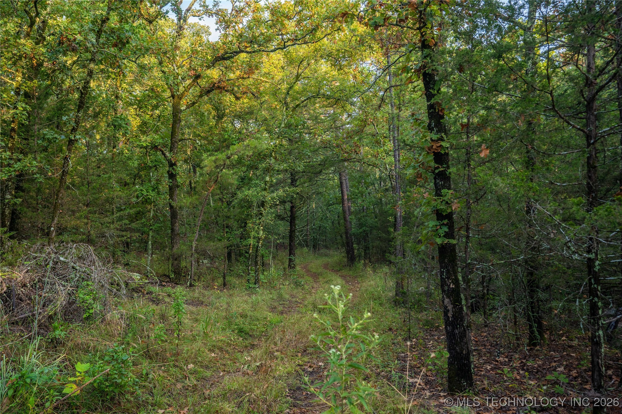 Savage Road Property Photo 46