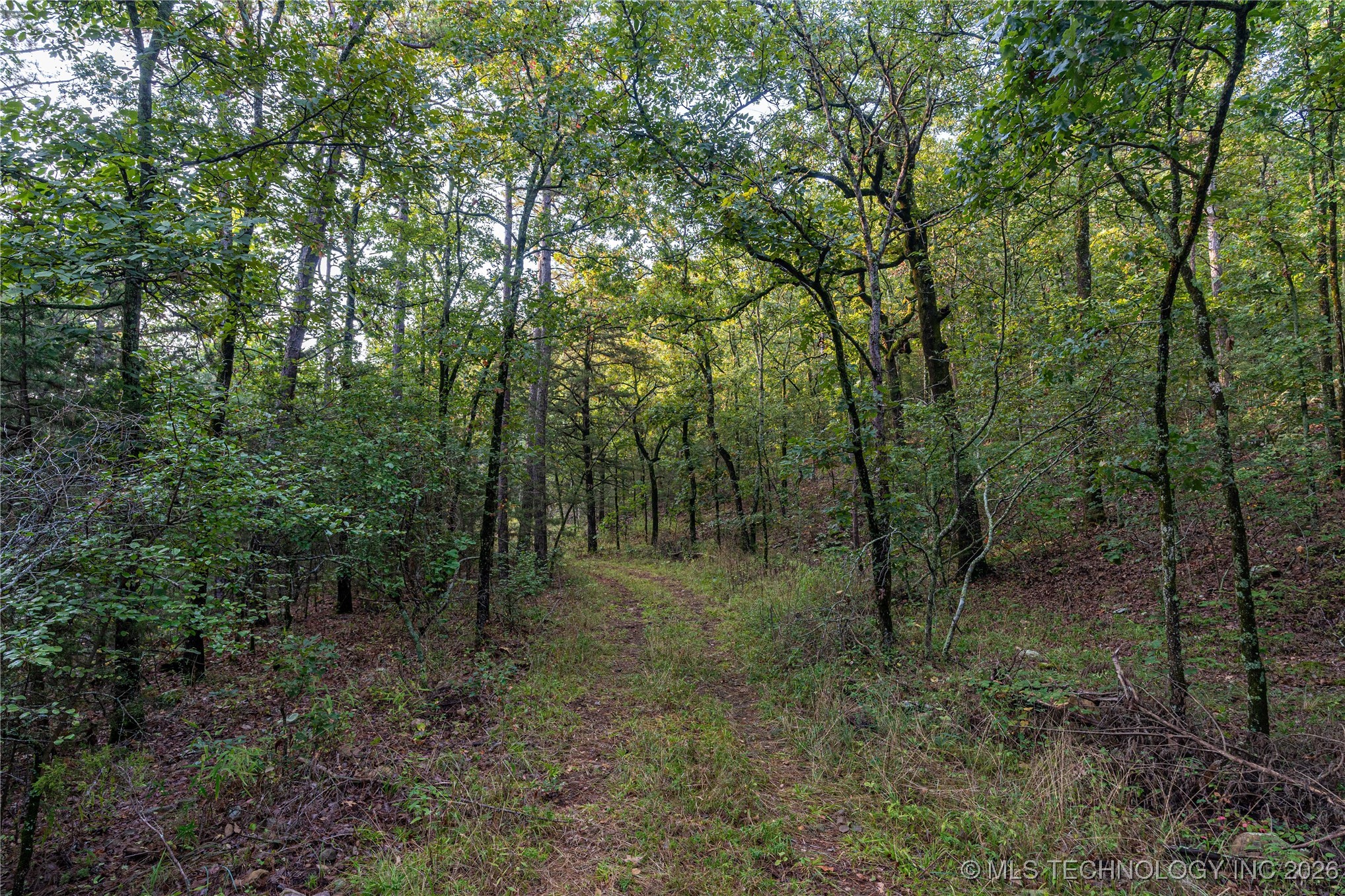 Savage Road Property Photo 47