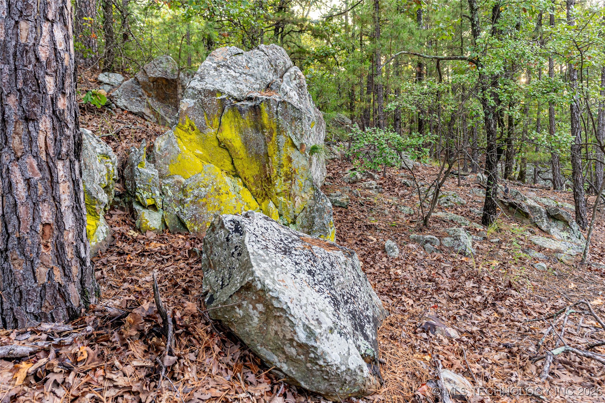 Savage Road Property Photo 48