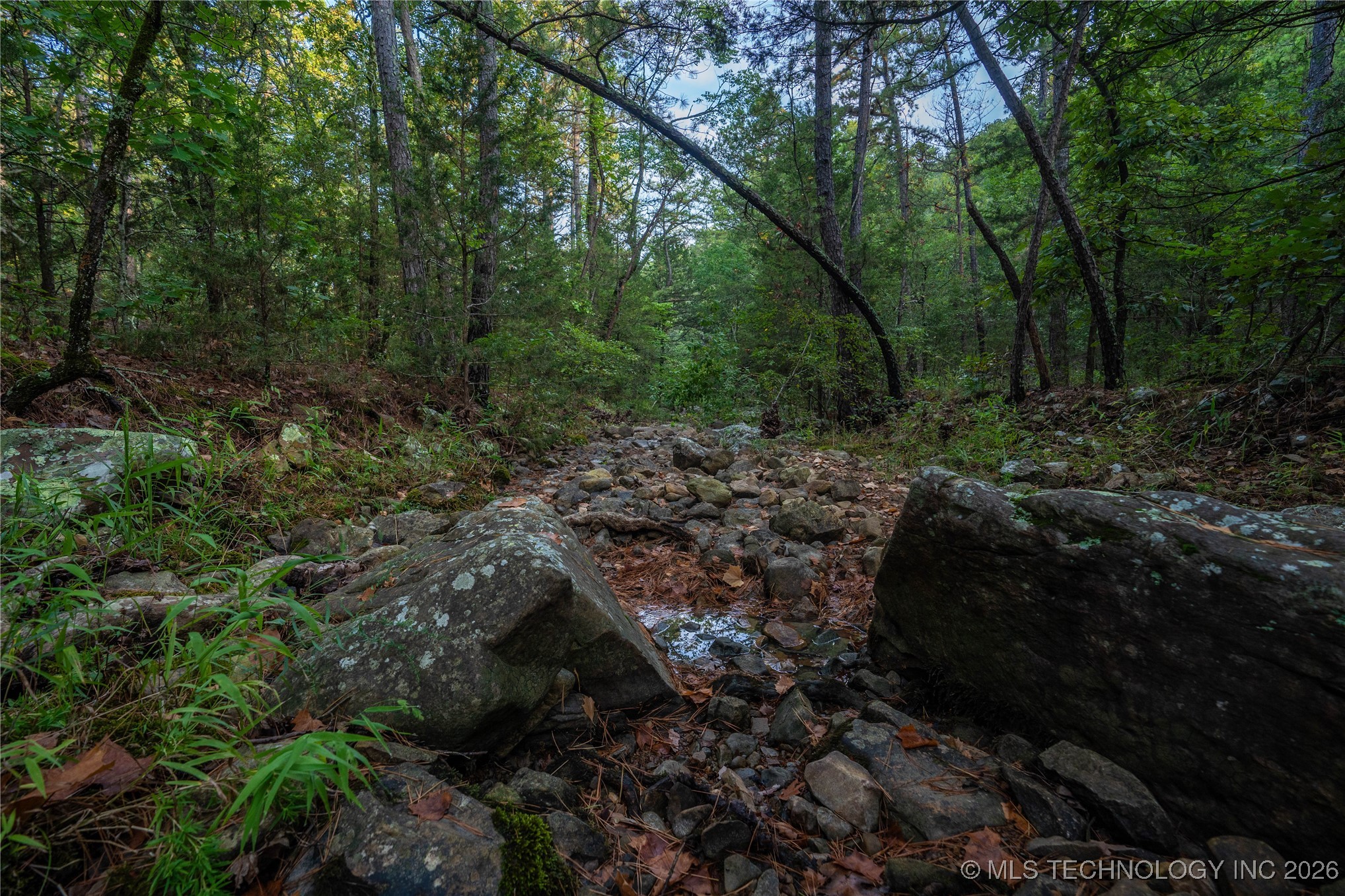 Savage Road Property Photo 49