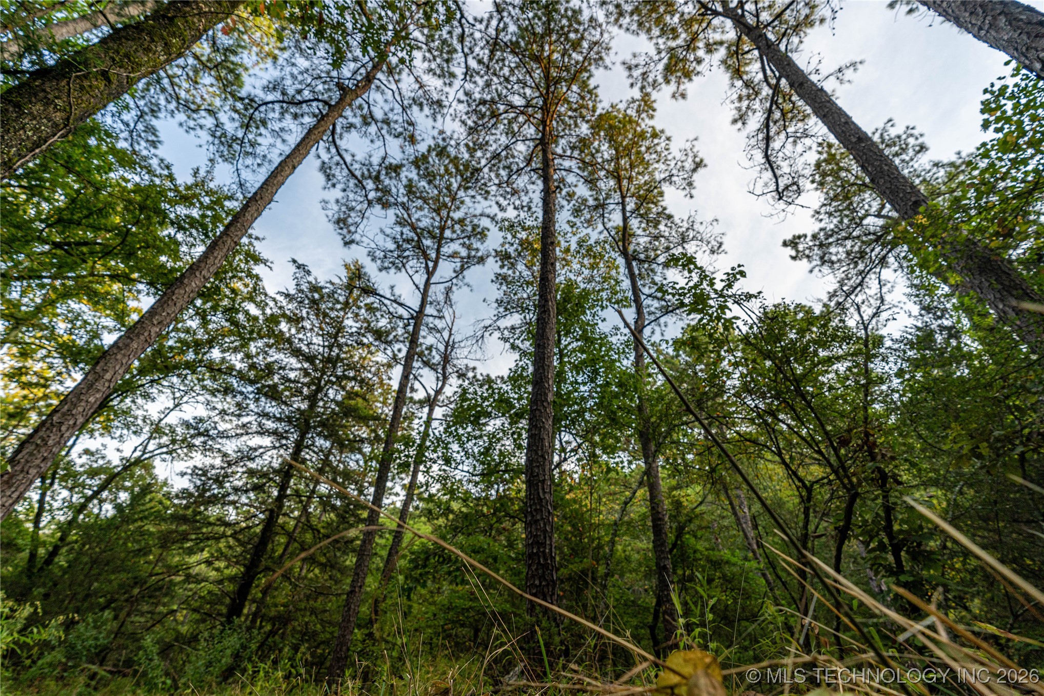 Savage Road Property Photo 50