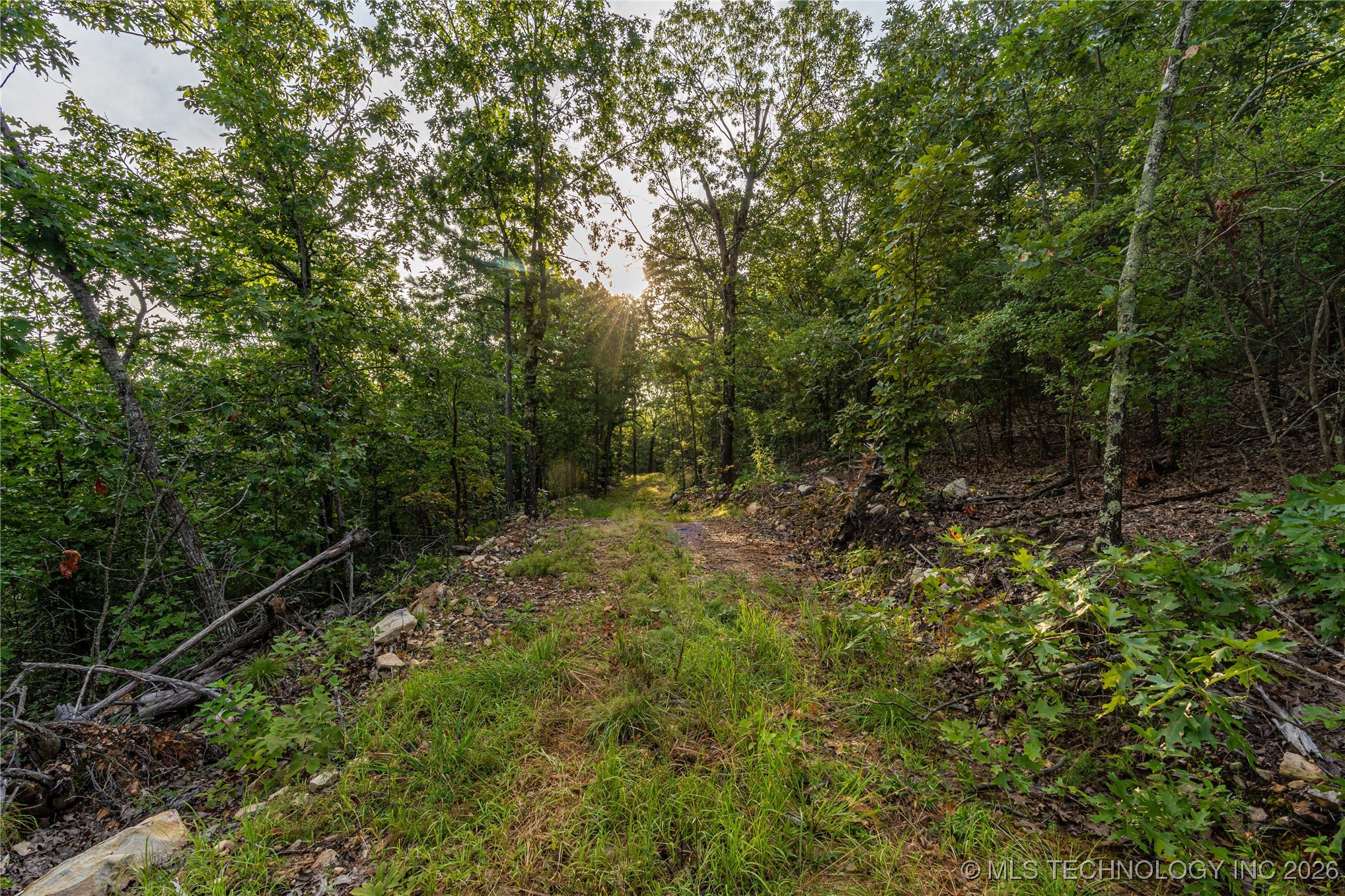 Savage Road Property Photo 51