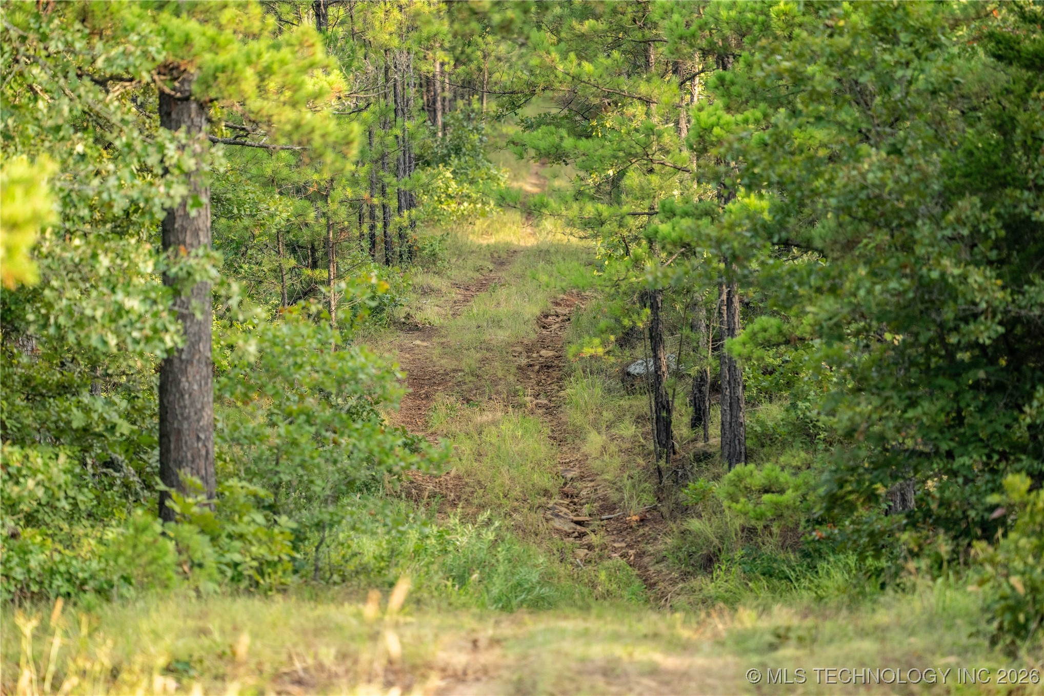 Savage Road Property Photo 57