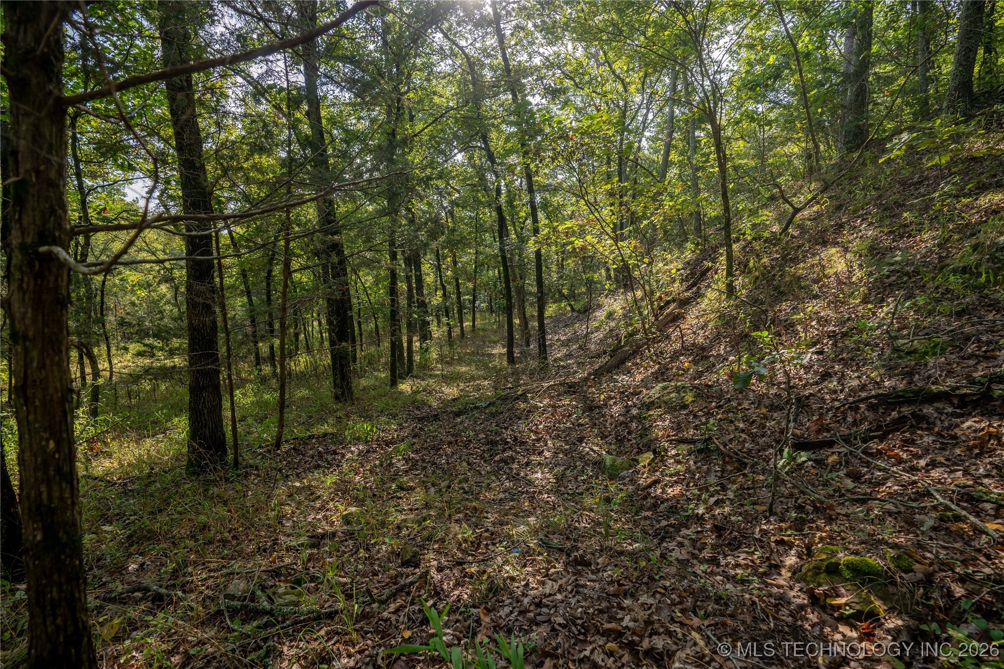 Savage Road Property Photo 58