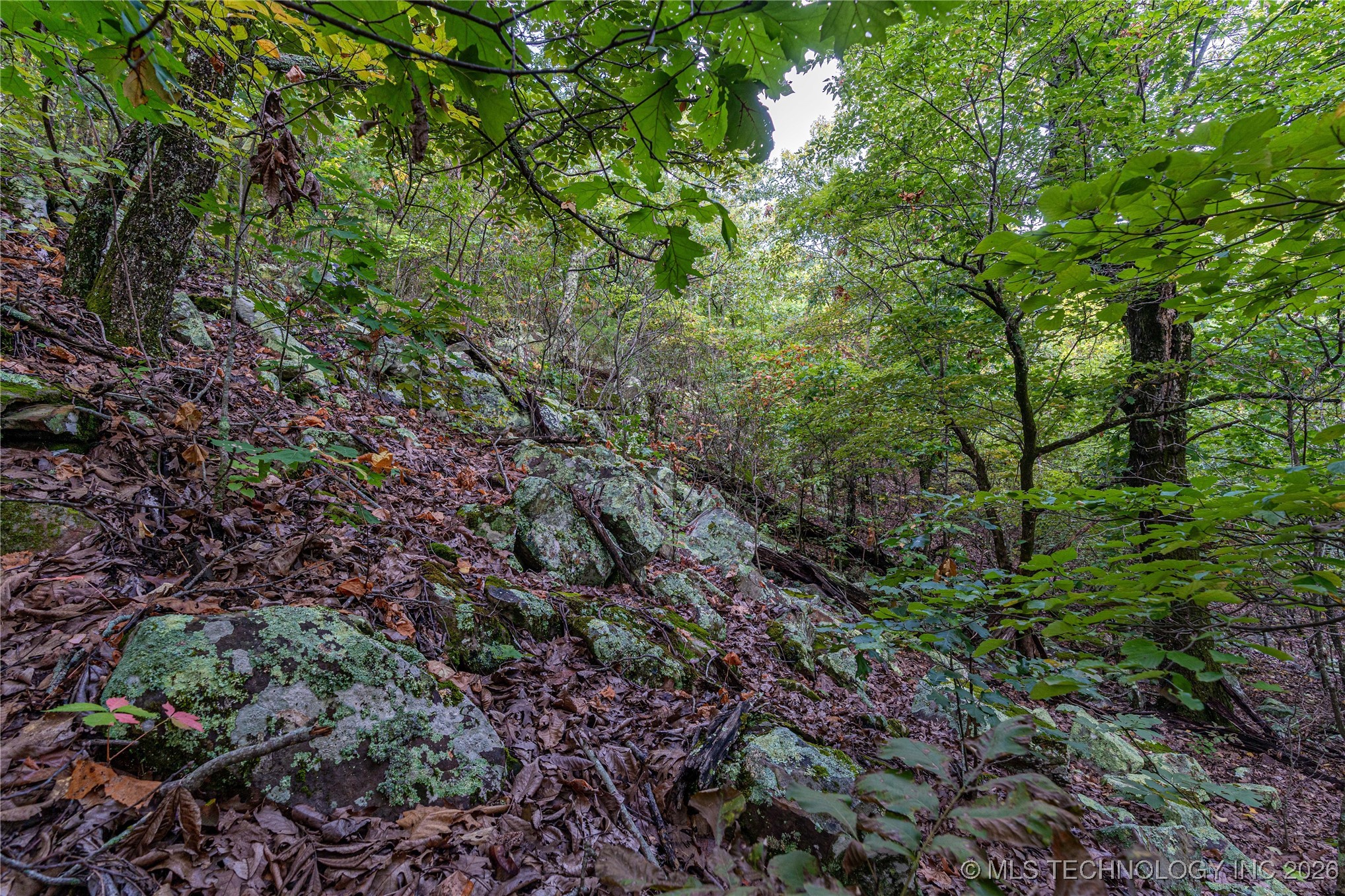 Savage Road Property Photo 59