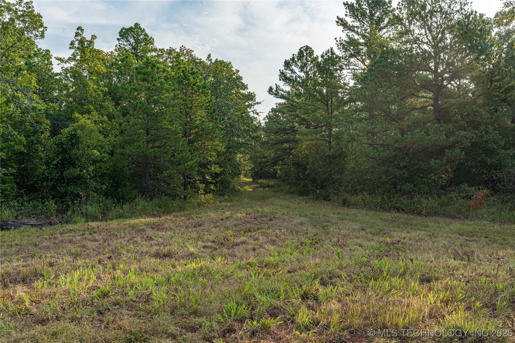 Savage Road Property Photo 60