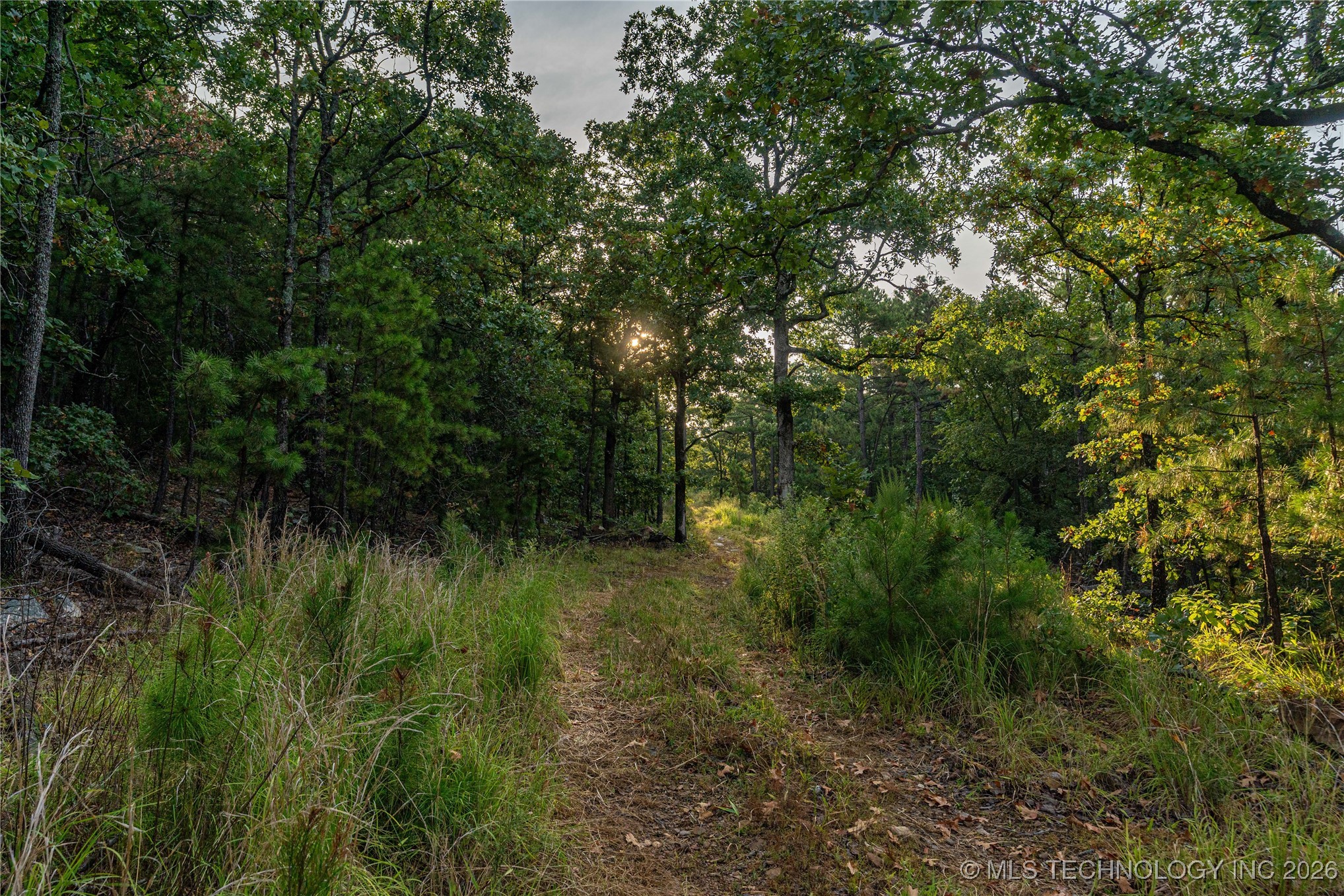 Savage Road Property Photo 61