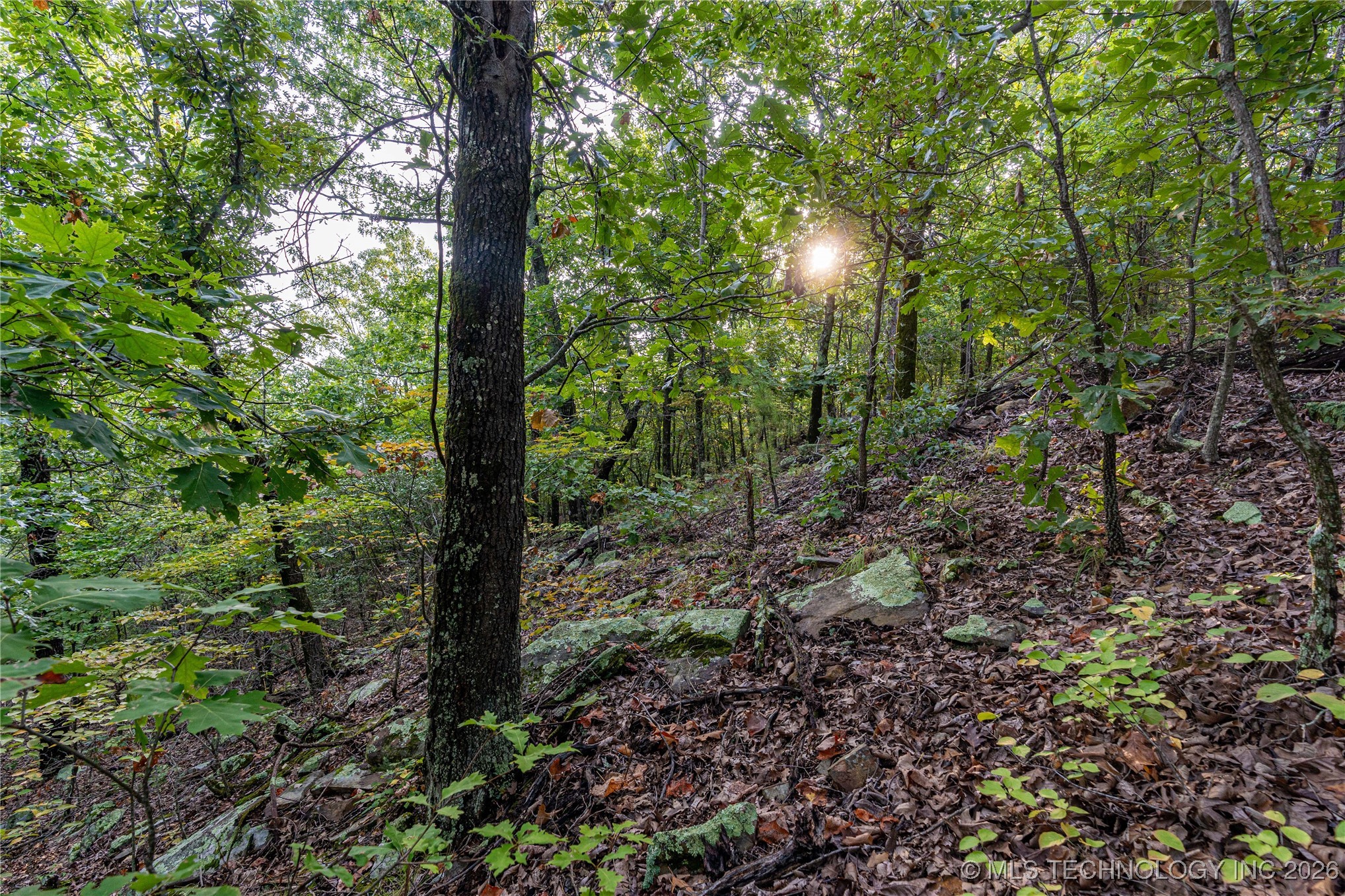 Savage Road Property Photo 62