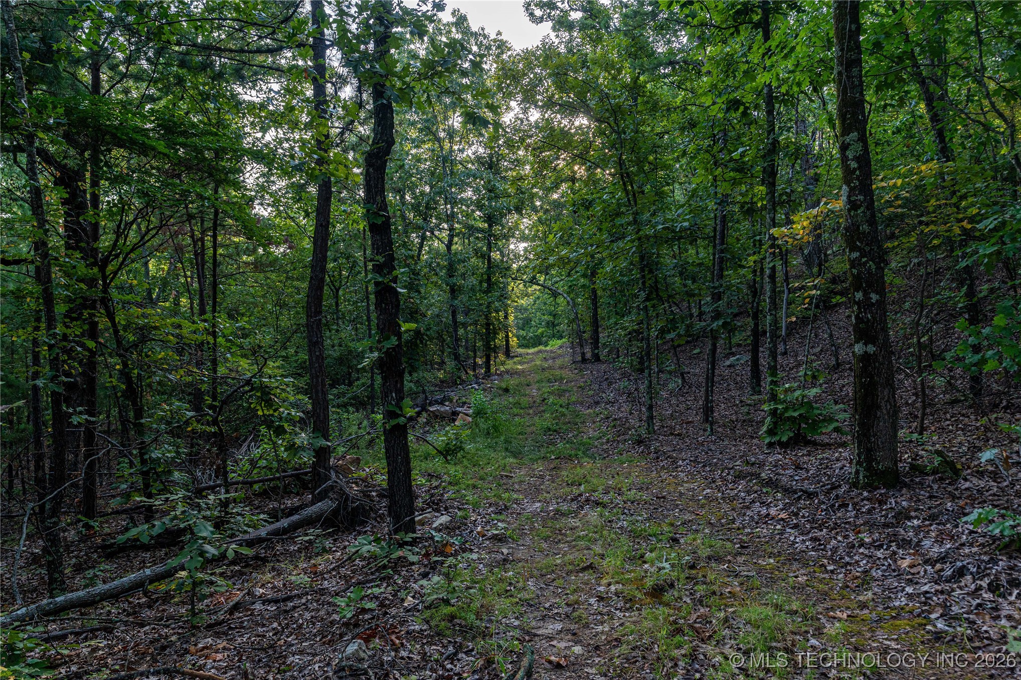 Savage Road Property Photo 63