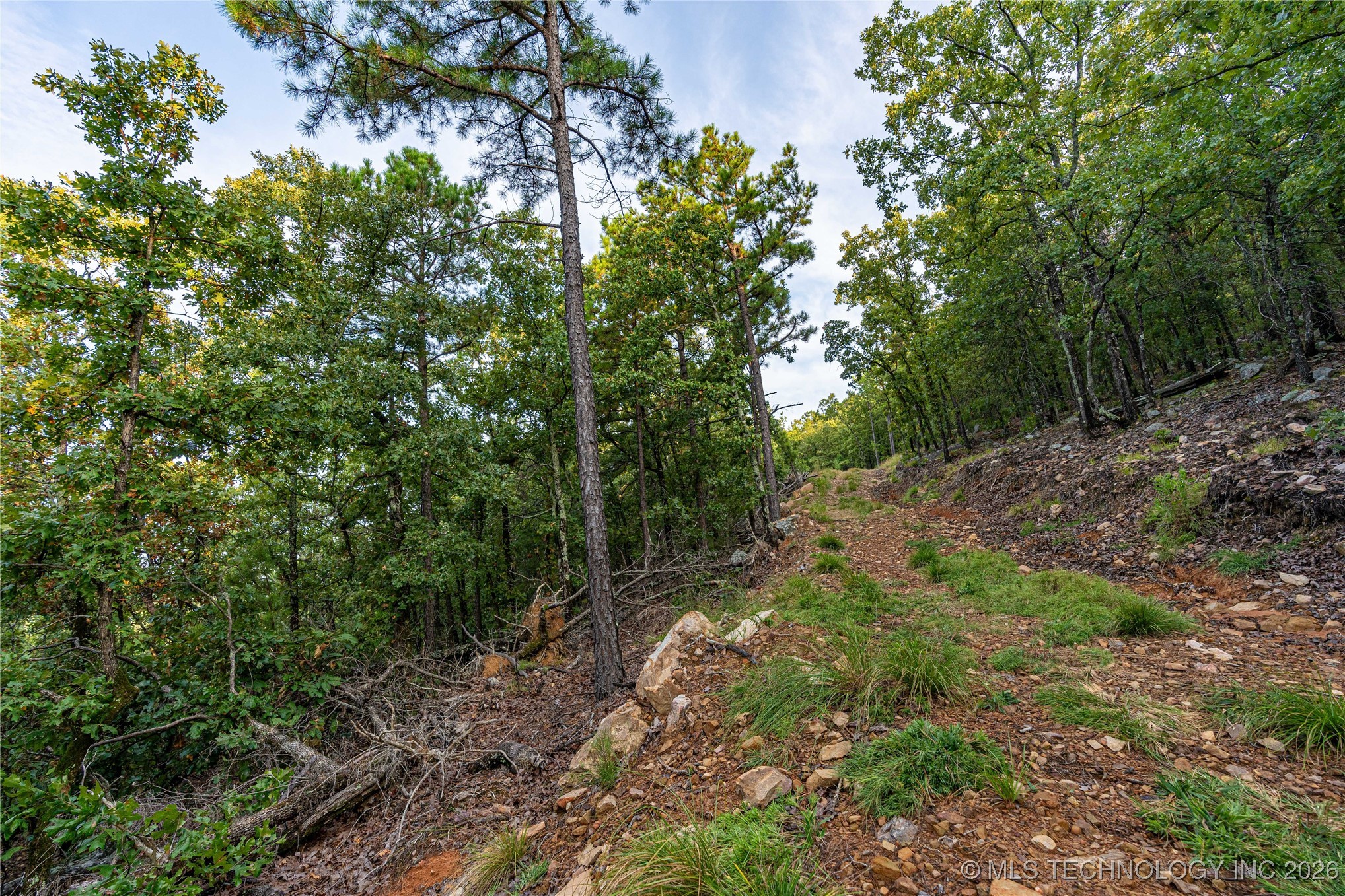 Savage Road Property Photo 64