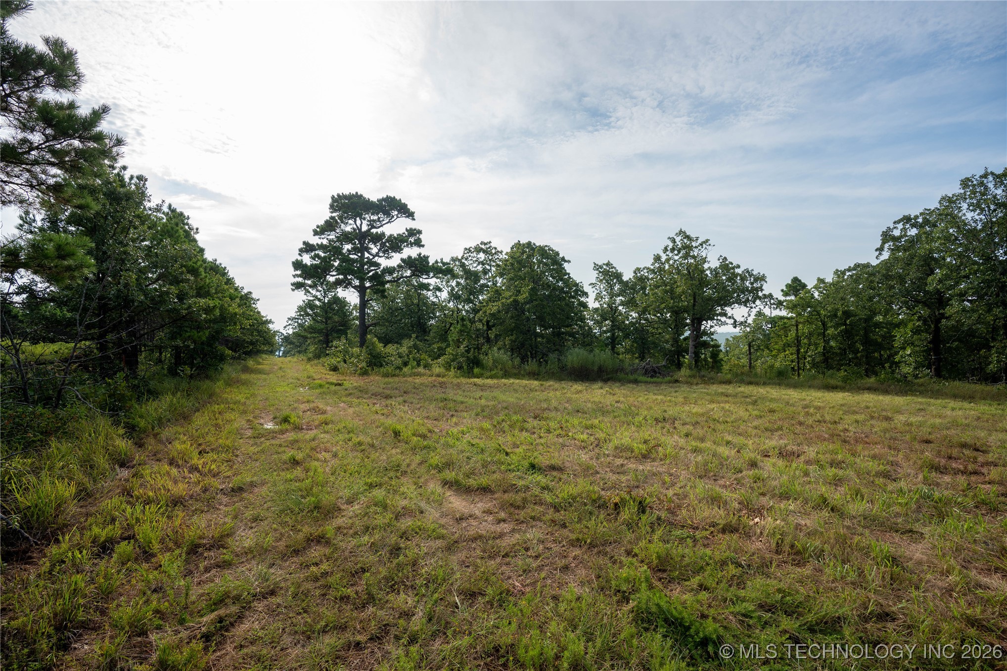 Savage Road Property Photo 65