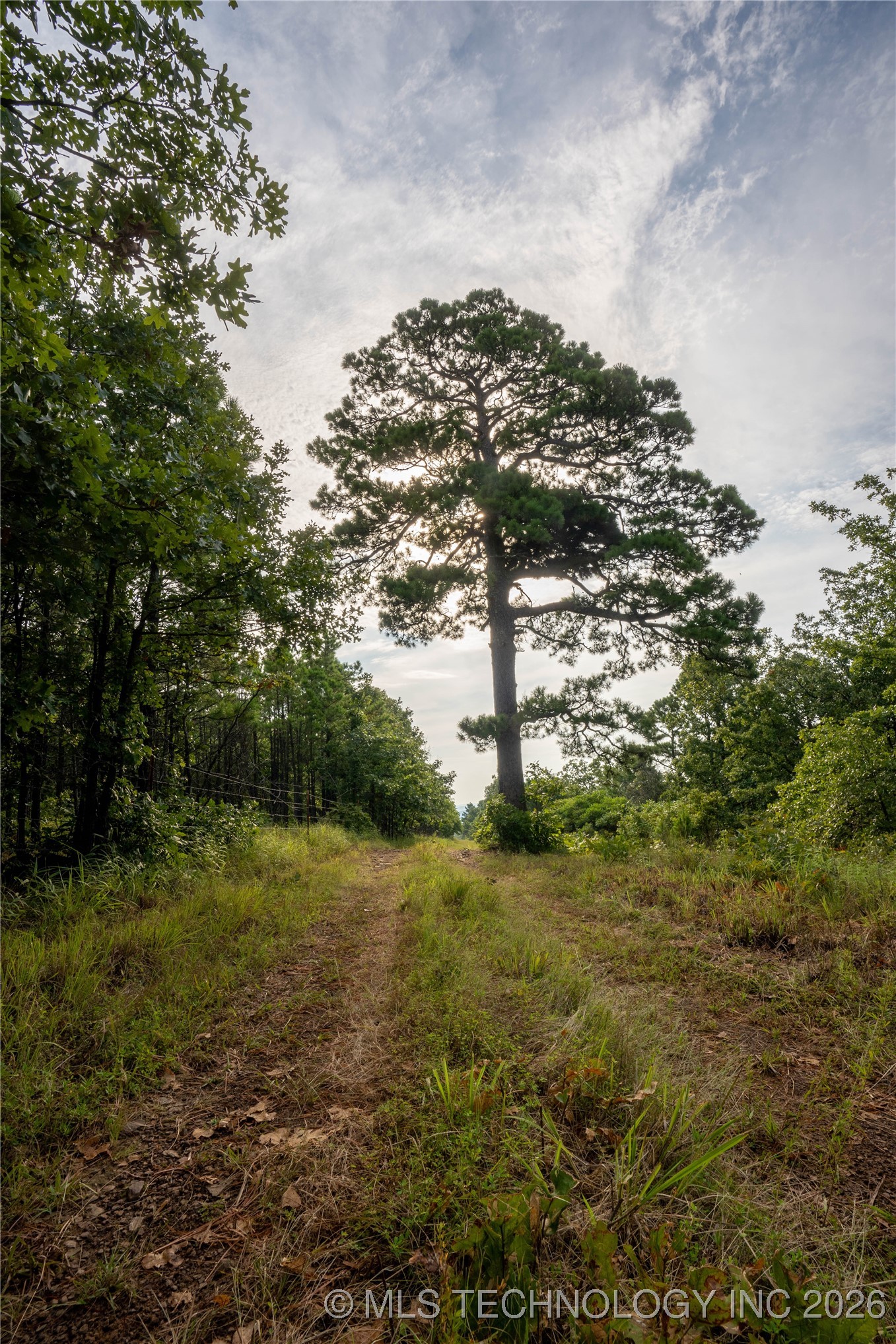 Savage Road Property Photo 67