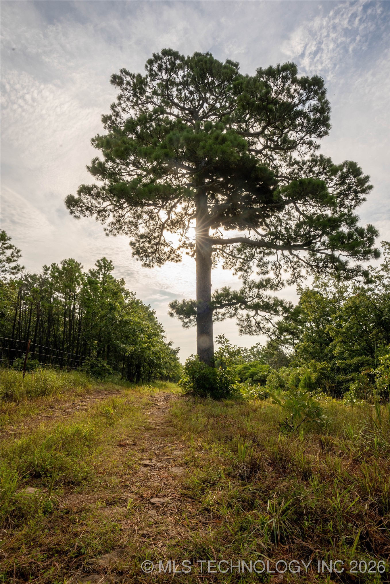 Savage Road Property Photo 68