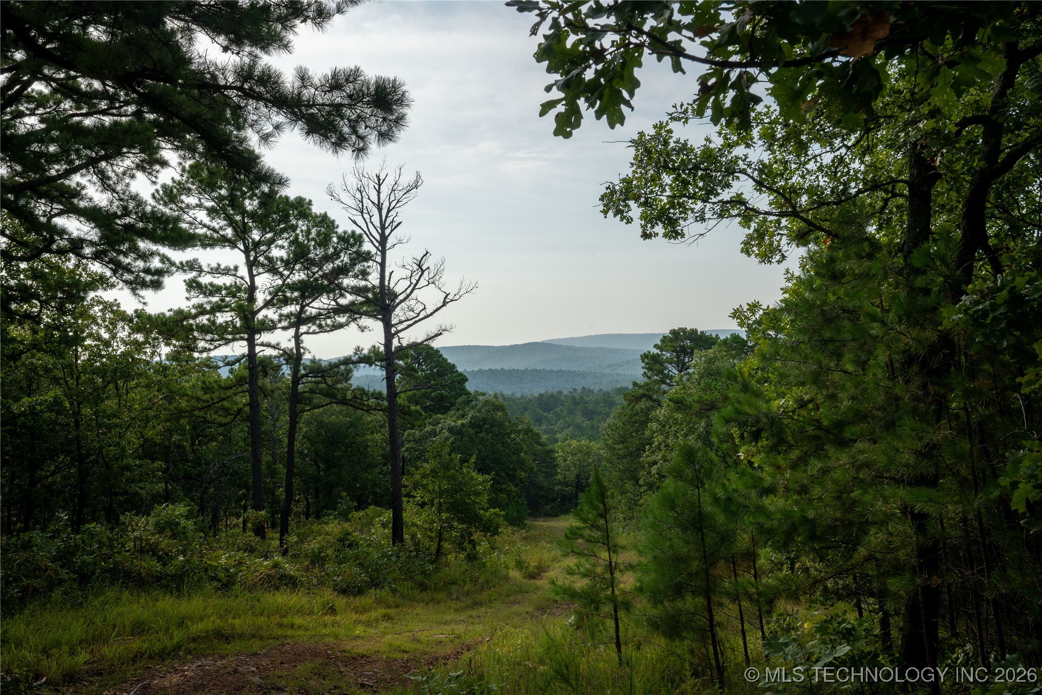 Savage Road Property Photo 69