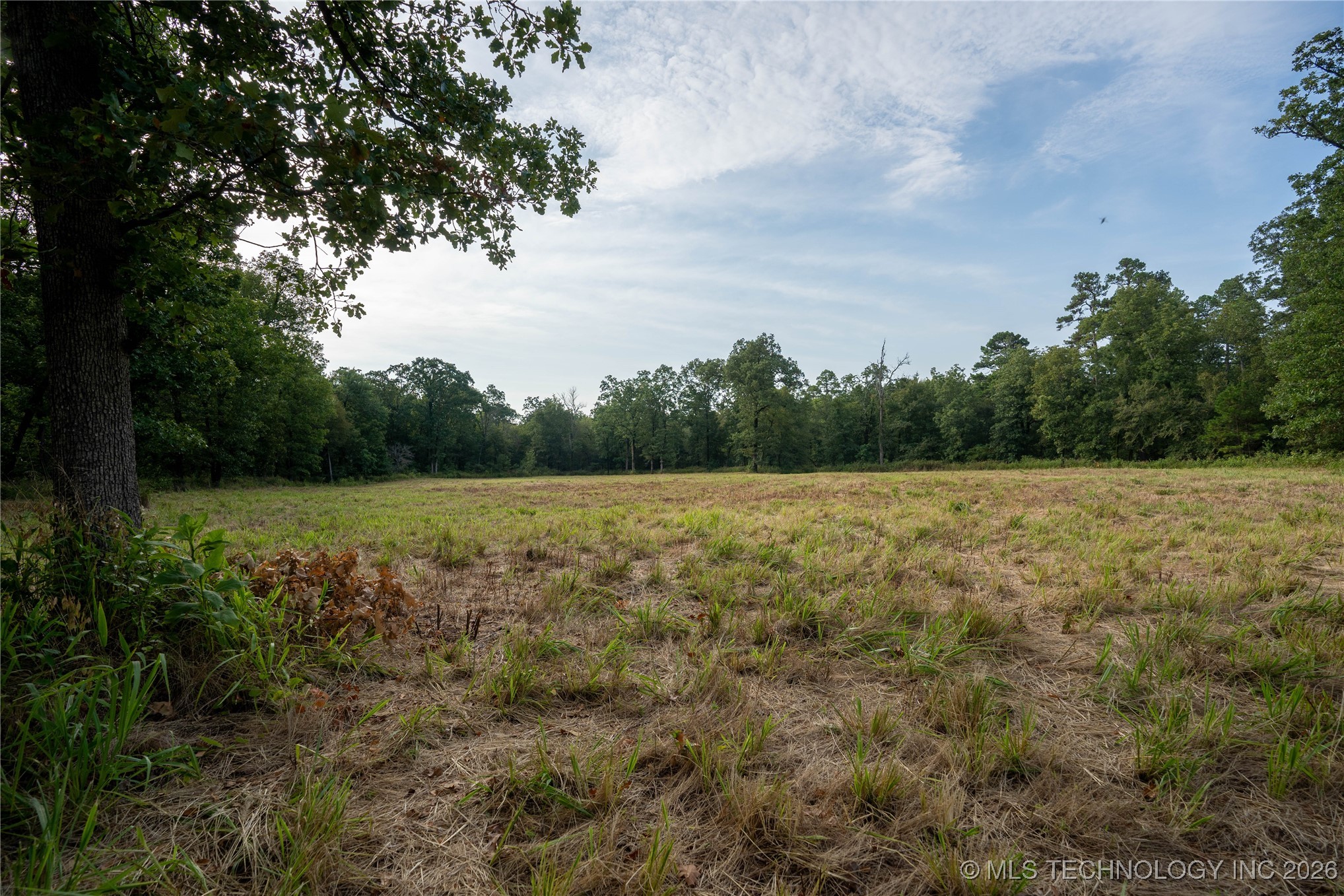 Savage Road Property Photo 70