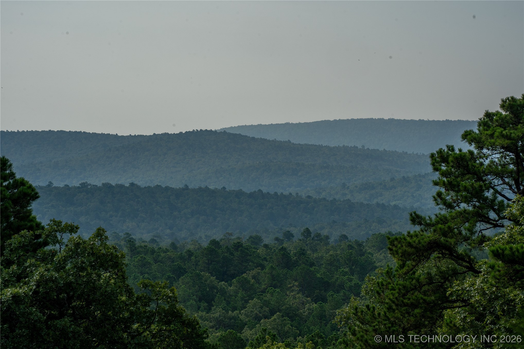 Savage Road Property Photo 72