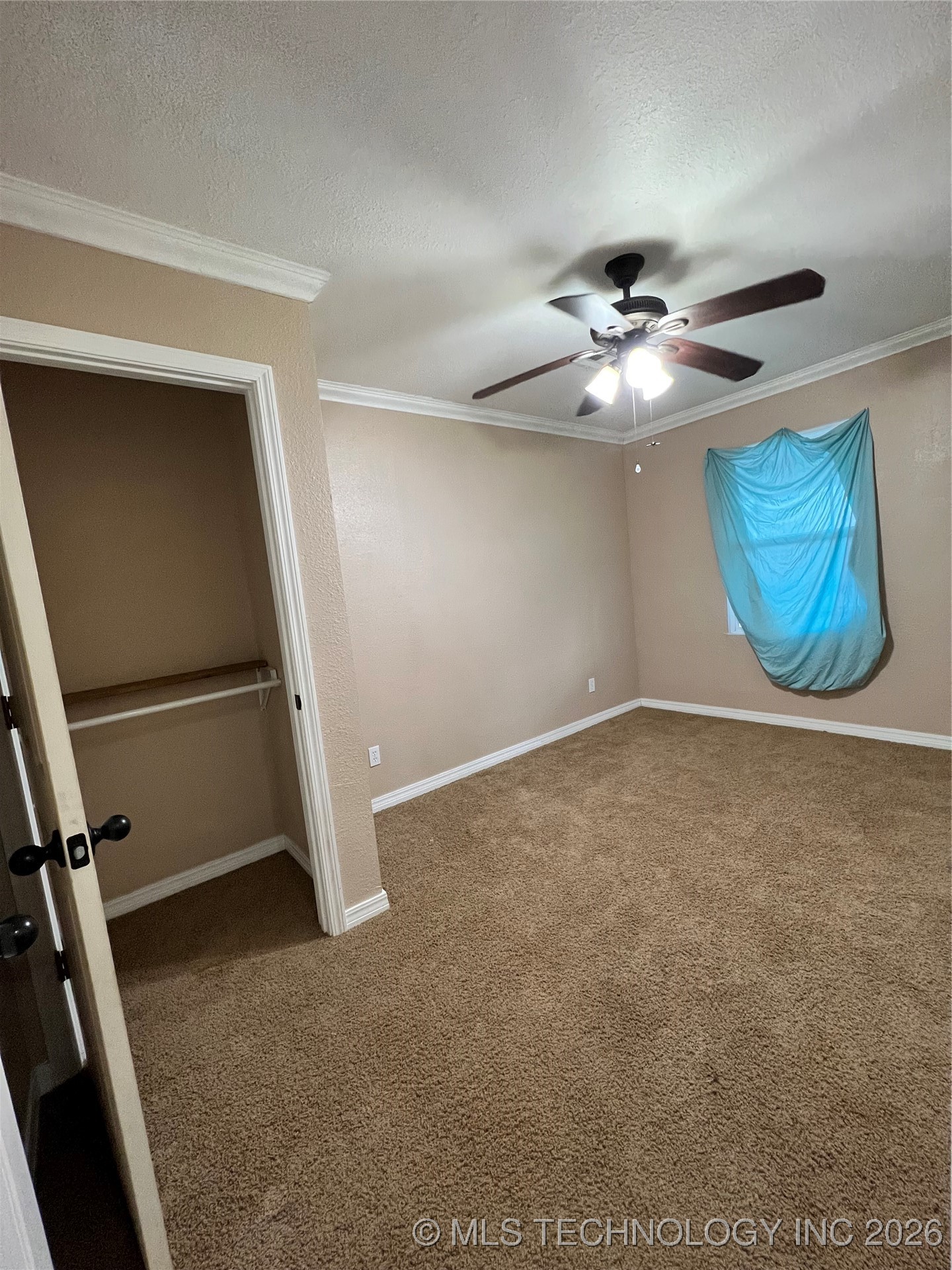 2600155 Property Photo 12