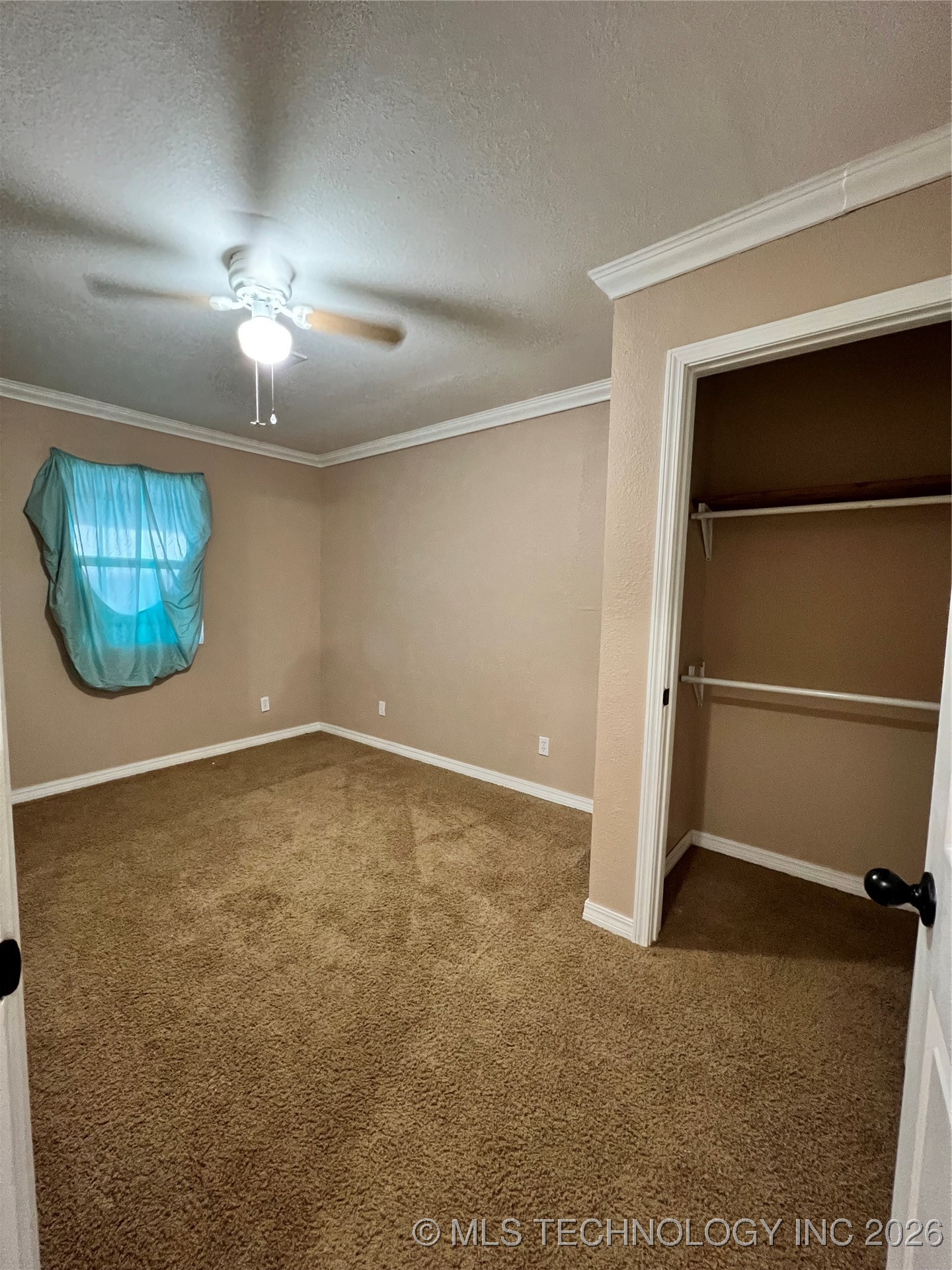 2600155 Property Photo 13