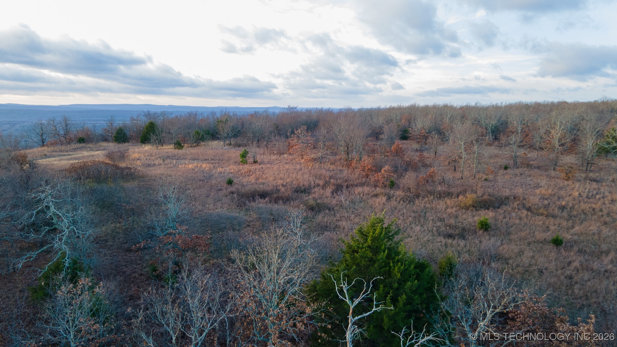 1100 Etchison Road Property Photo 3