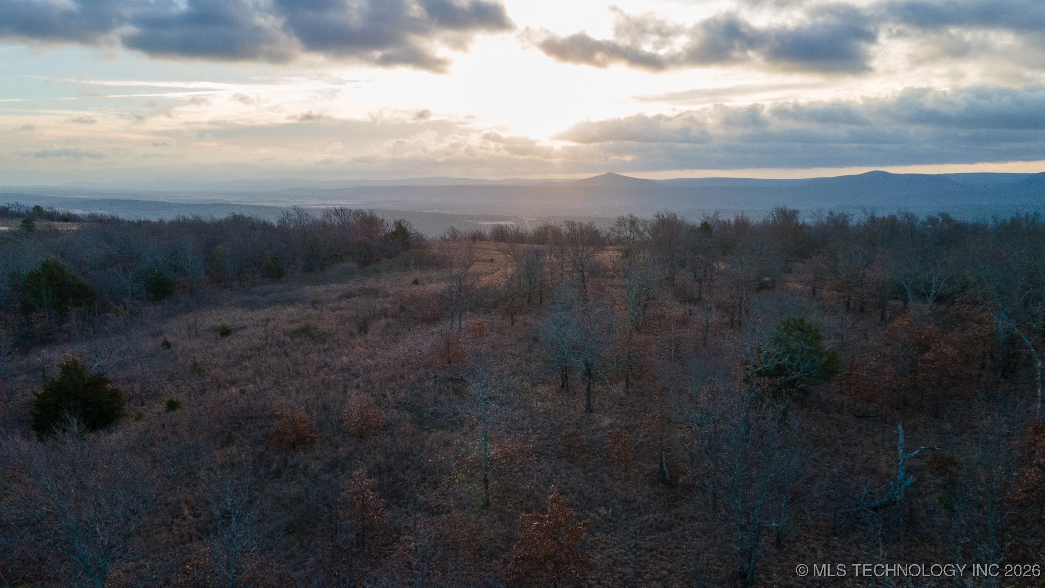 1100 Etchison Road Property Photo 4