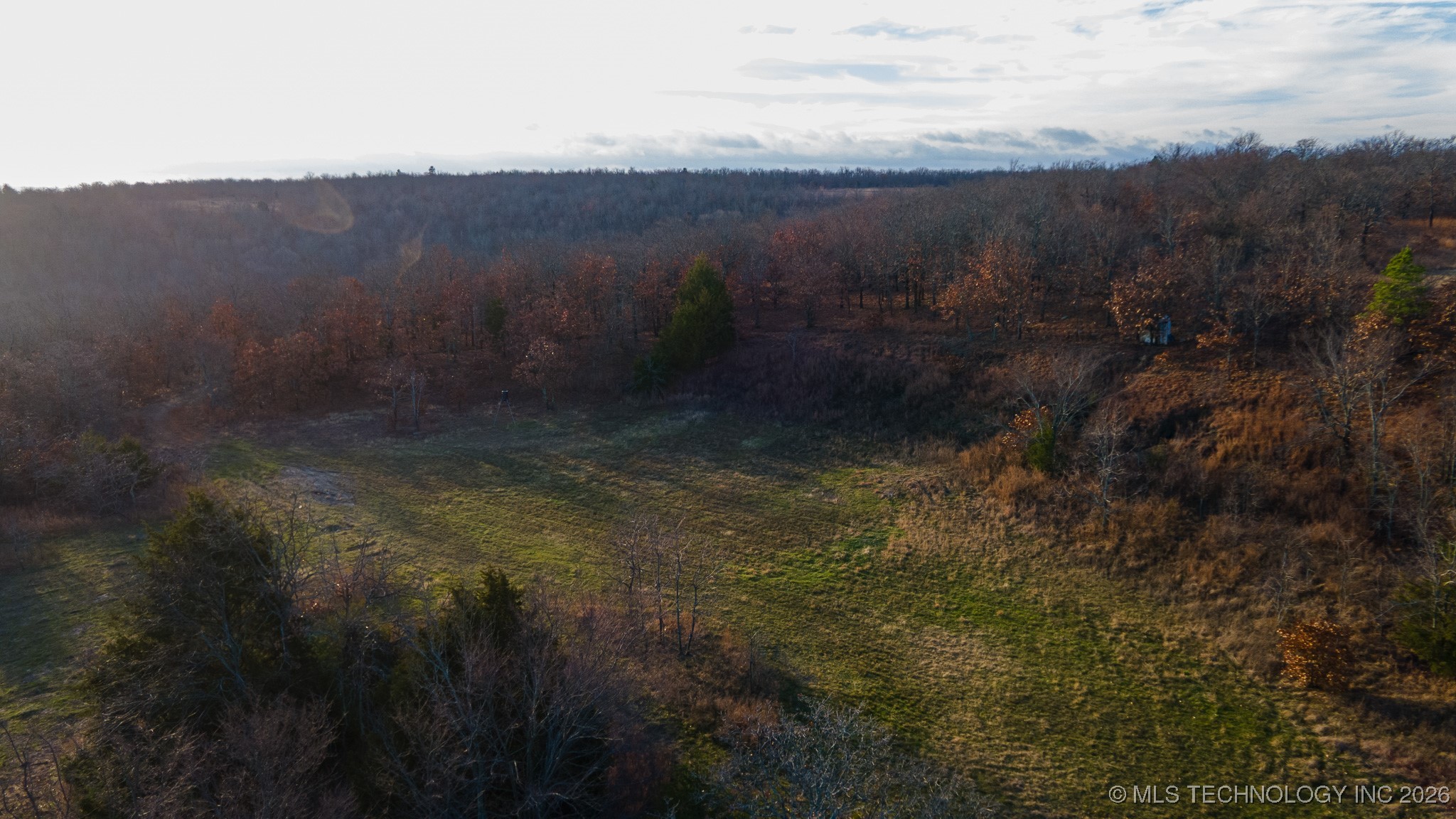 1100 Etchison Road Property Photo 5