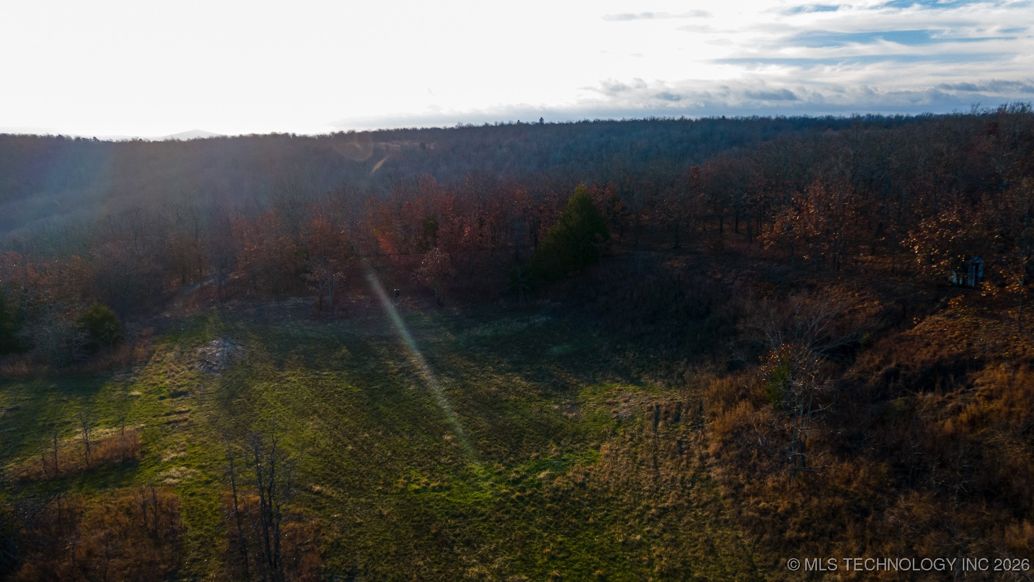 1100 Etchison Road Property Photo 6