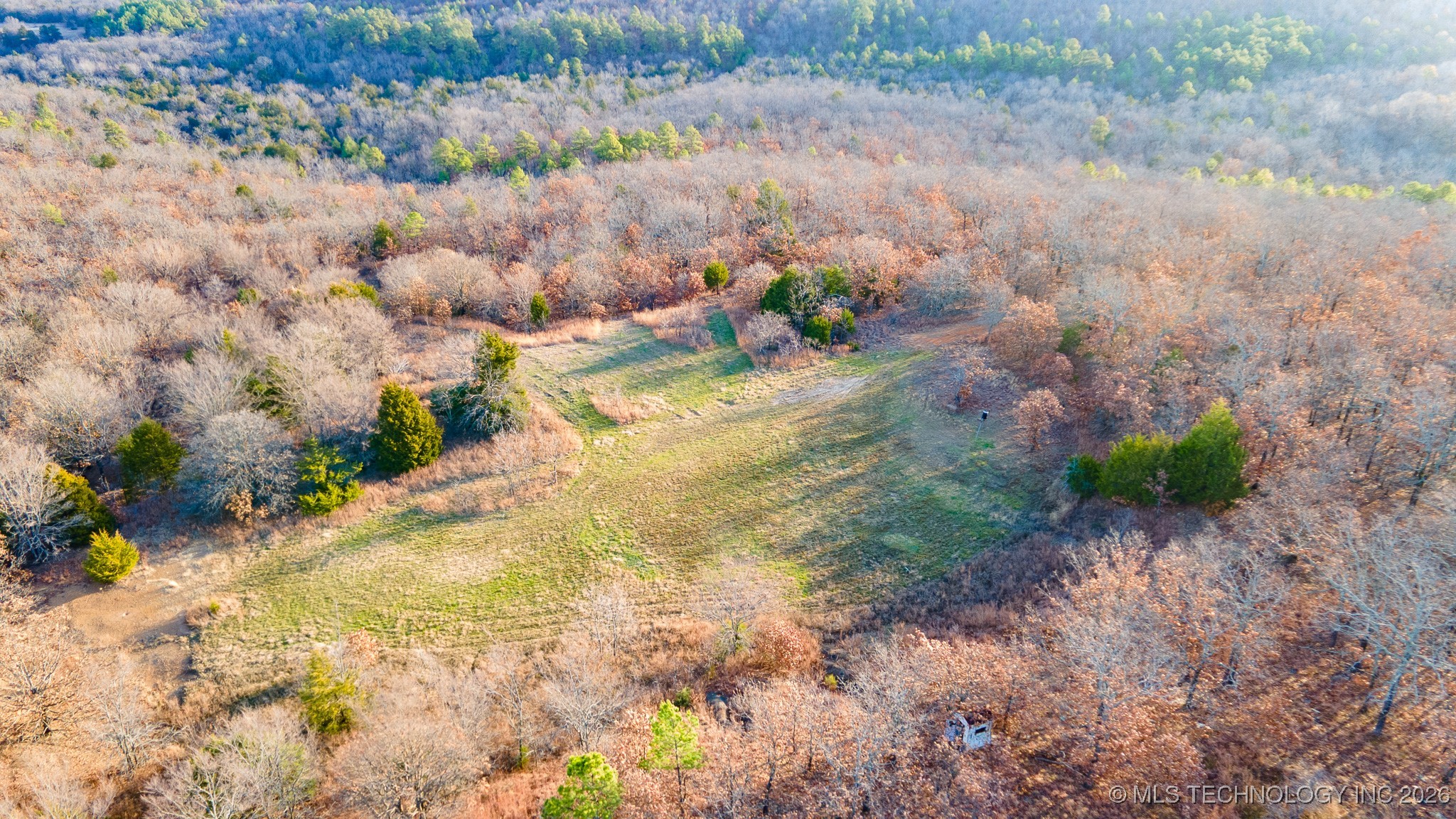 1100 Etchison Road Property Photo 8