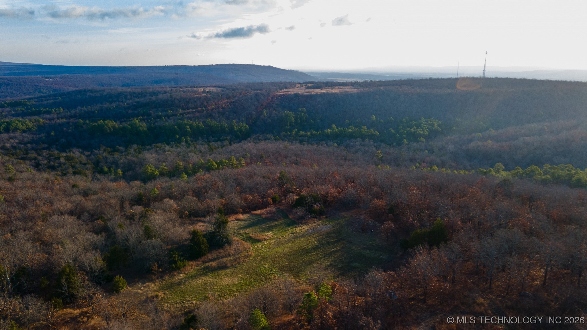 1100 Etchison Road Property Photo 9