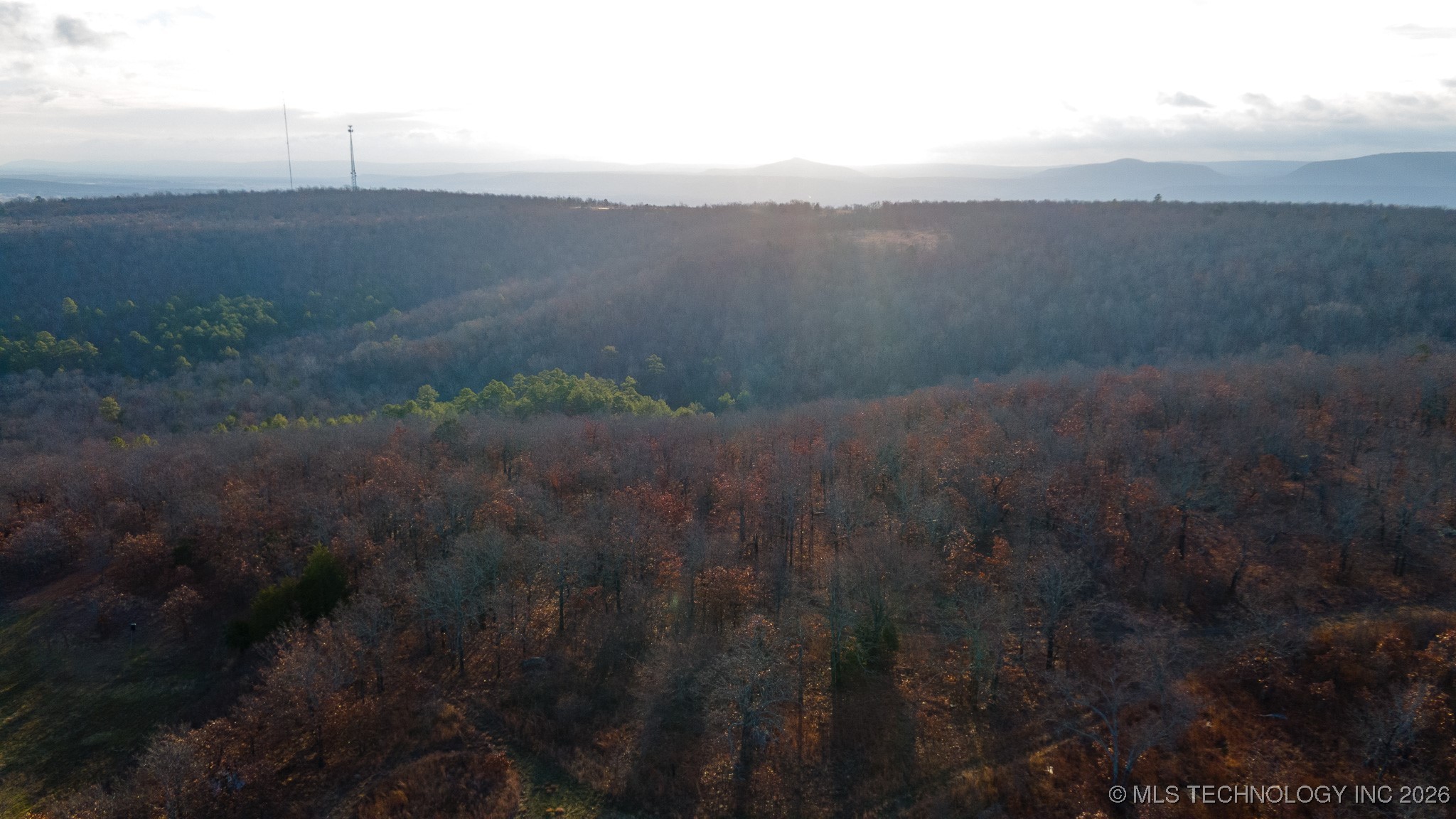 1100 Etchison Road Property Photo 10