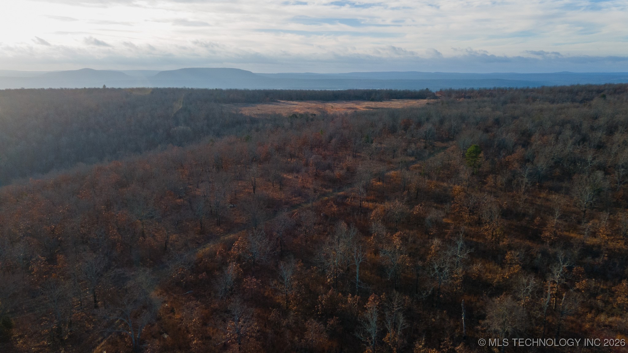 1100 Etchison Road Property Photo 11