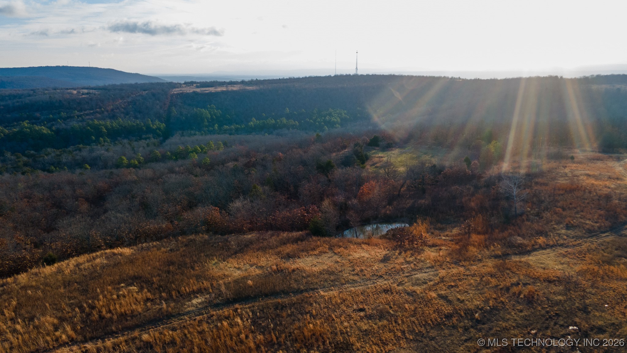 1100 Etchison Road Property Photo 13