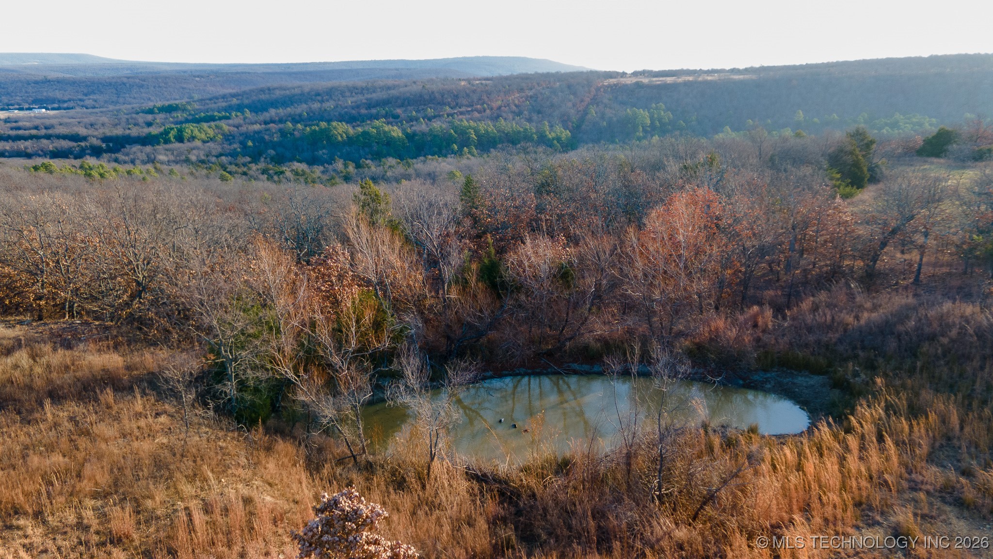 1100 Etchison Road Property Photo 15