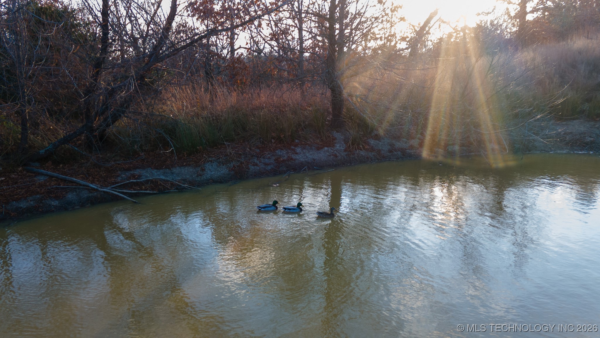 1100 Etchison Road Property Photo 16