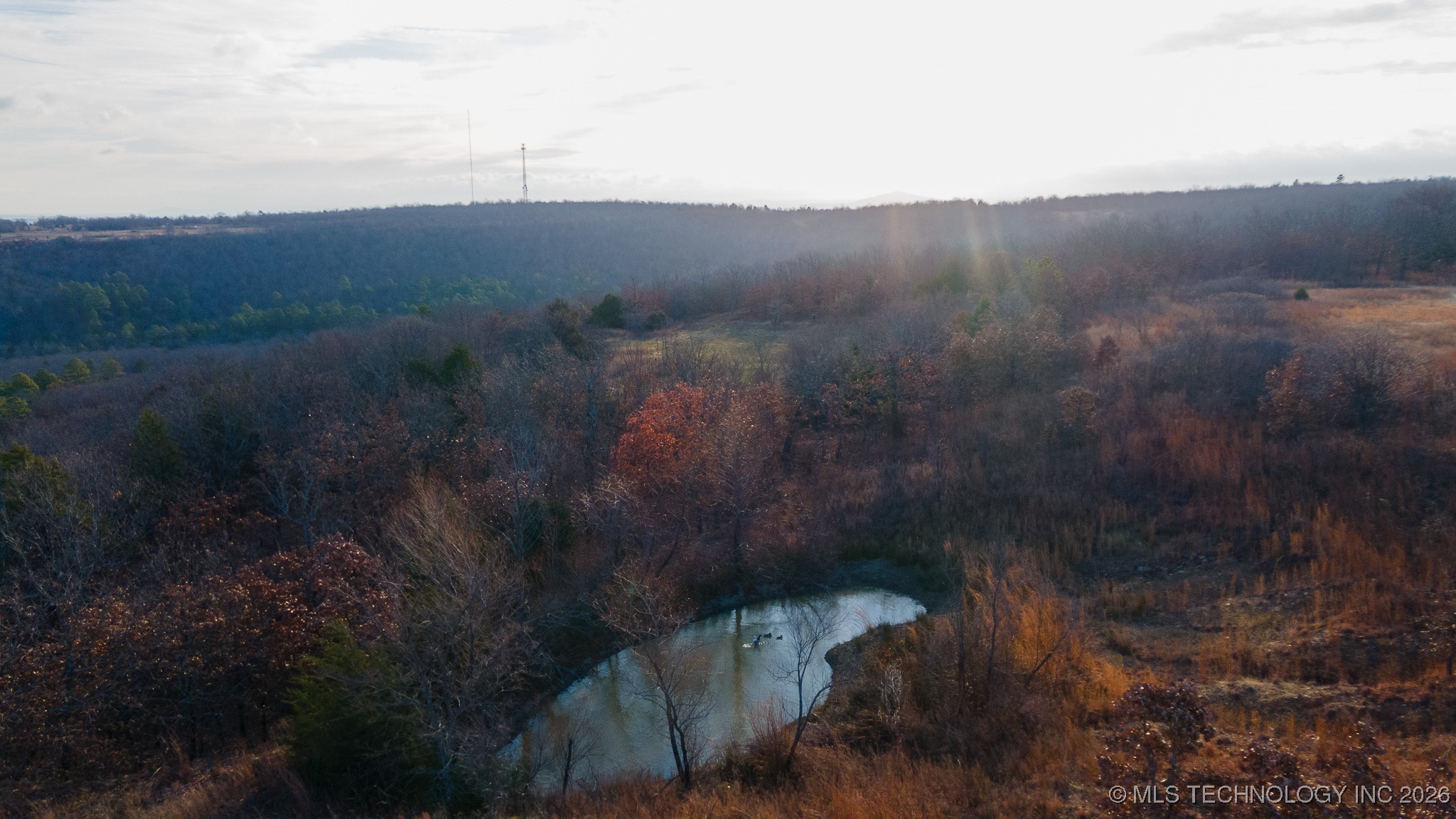 1100 Etchison Road Property Photo 17