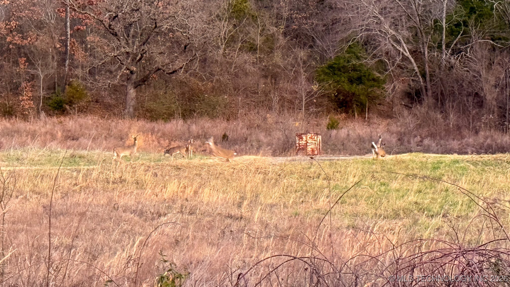 1100 Etchison Road Property Photo 41