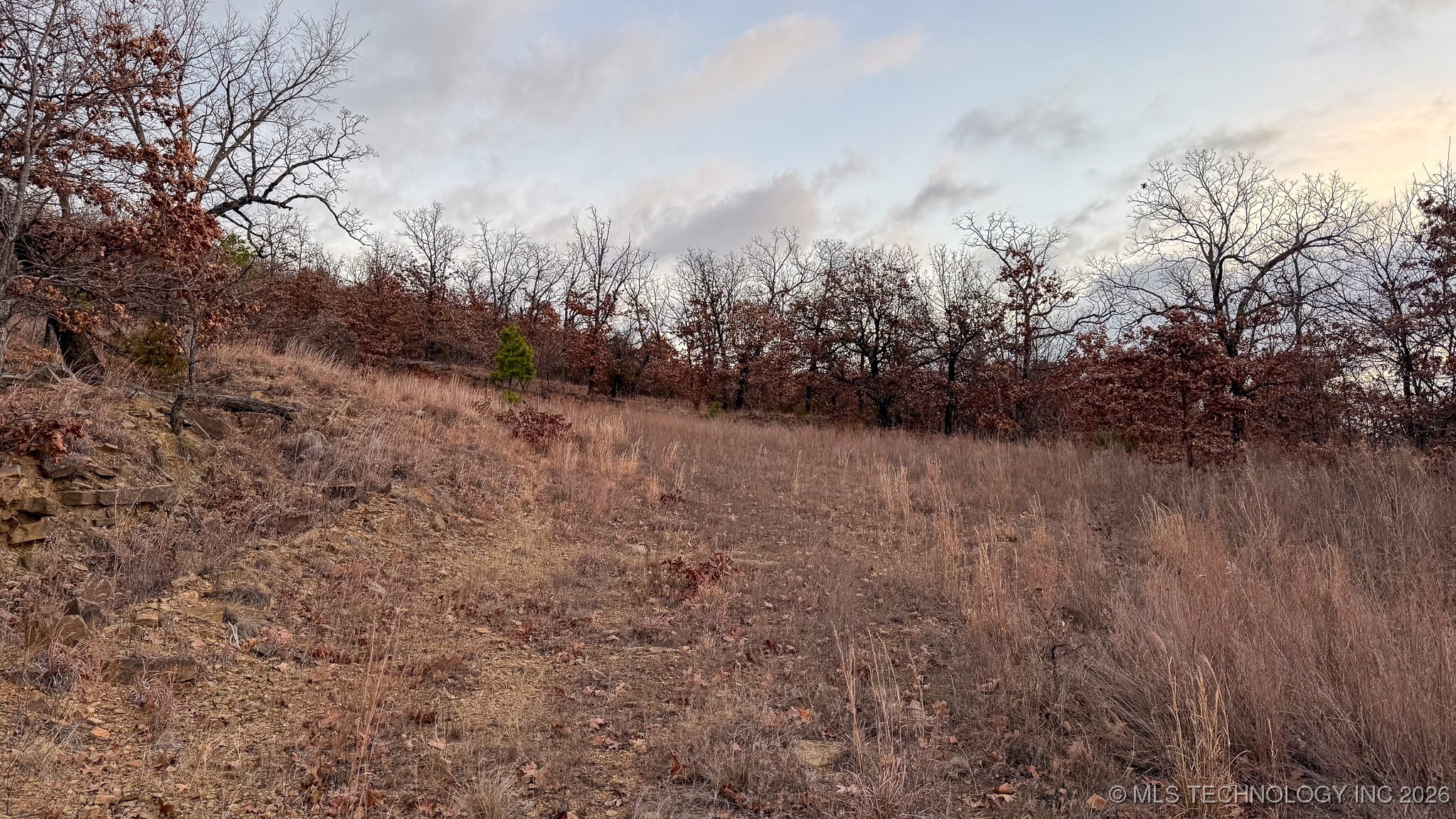 1100 Etchison Road Property Photo 44