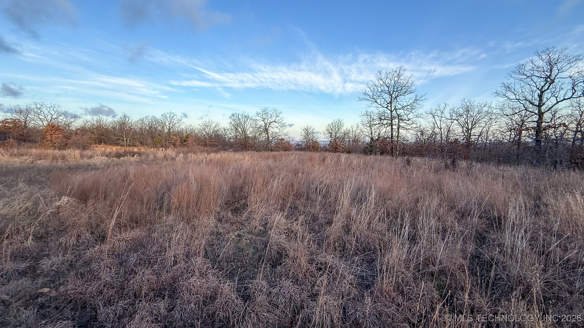 1100 Etchison Road Property Photo 50