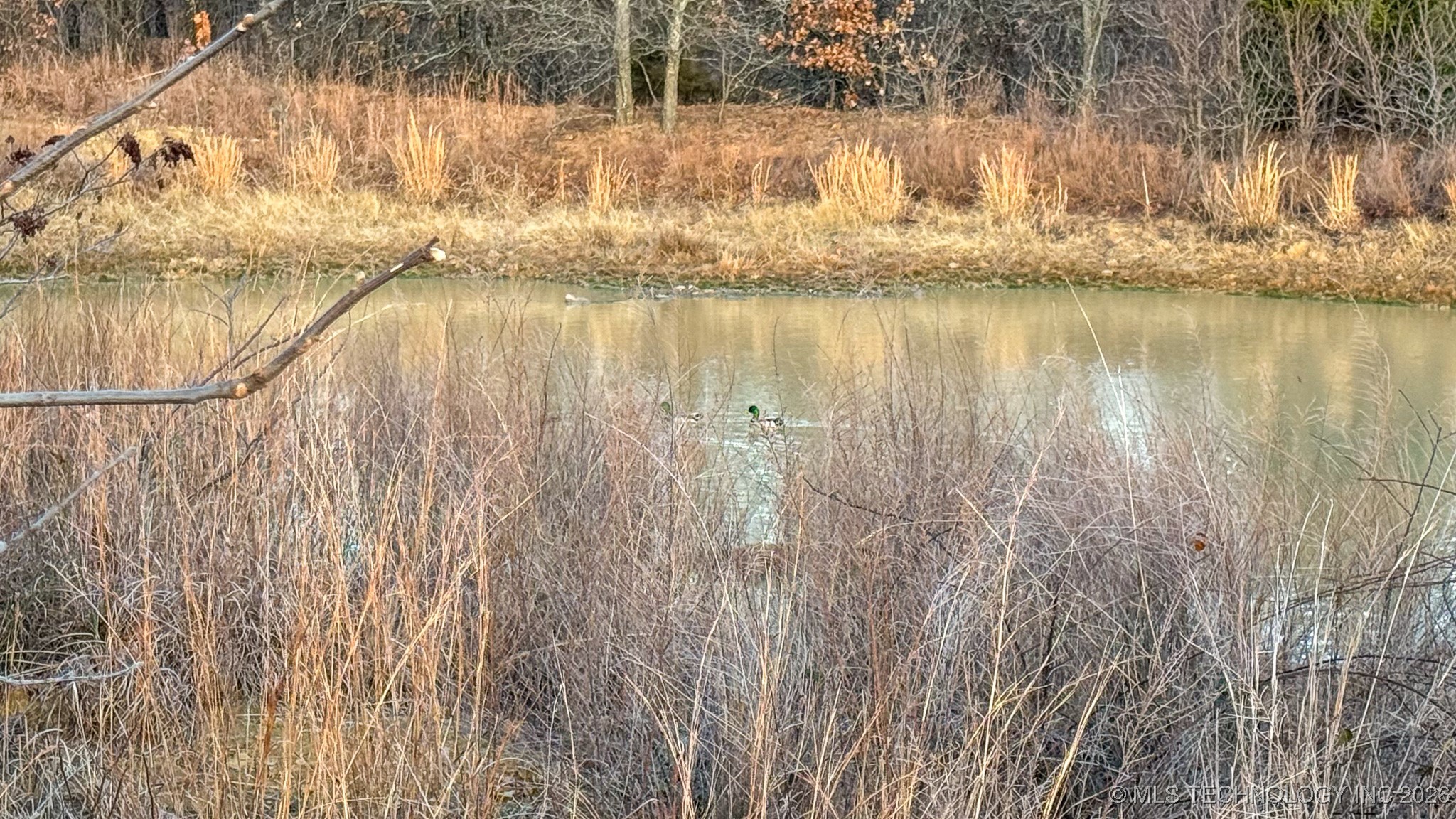 1100 Etchison Road Property Photo 52