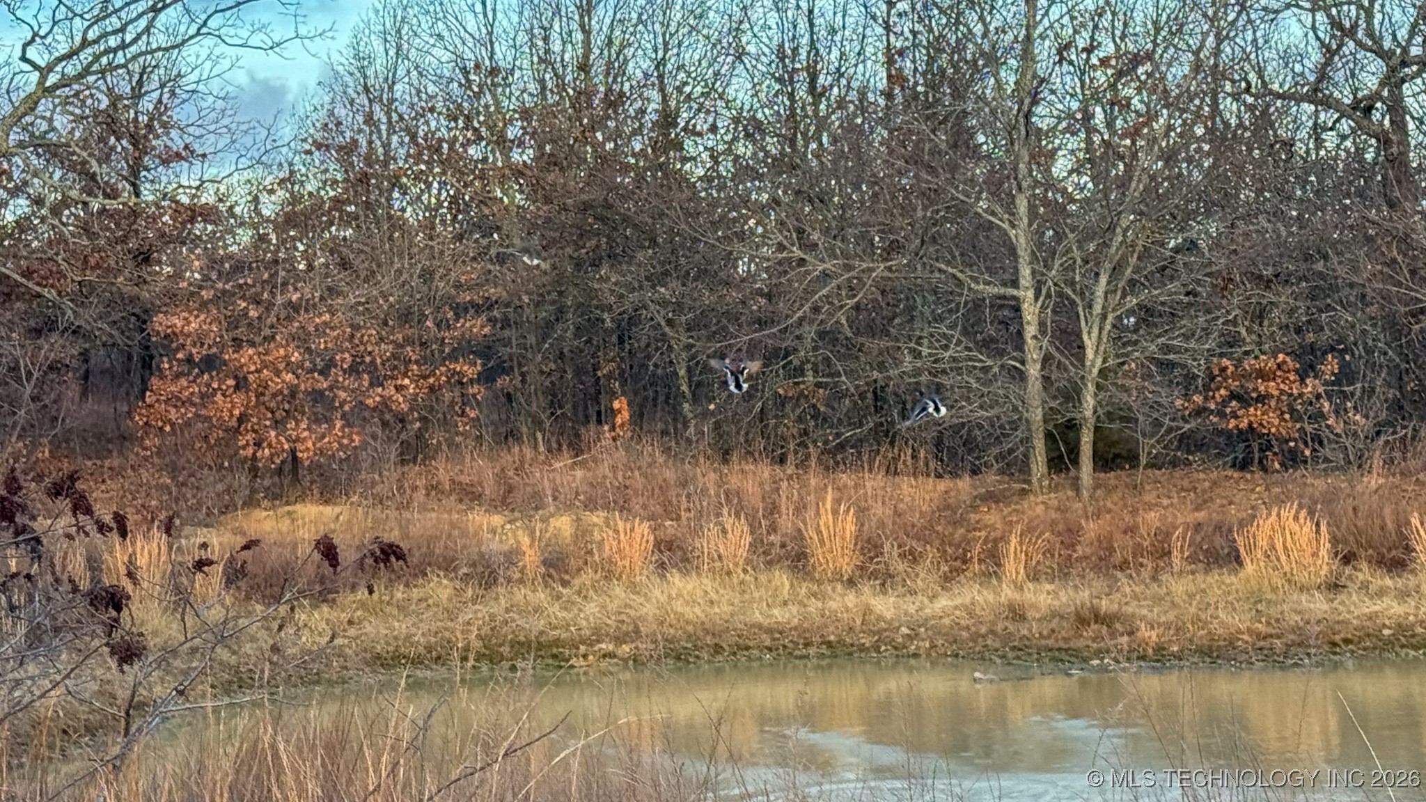 1100 Etchison Road Property Photo 53