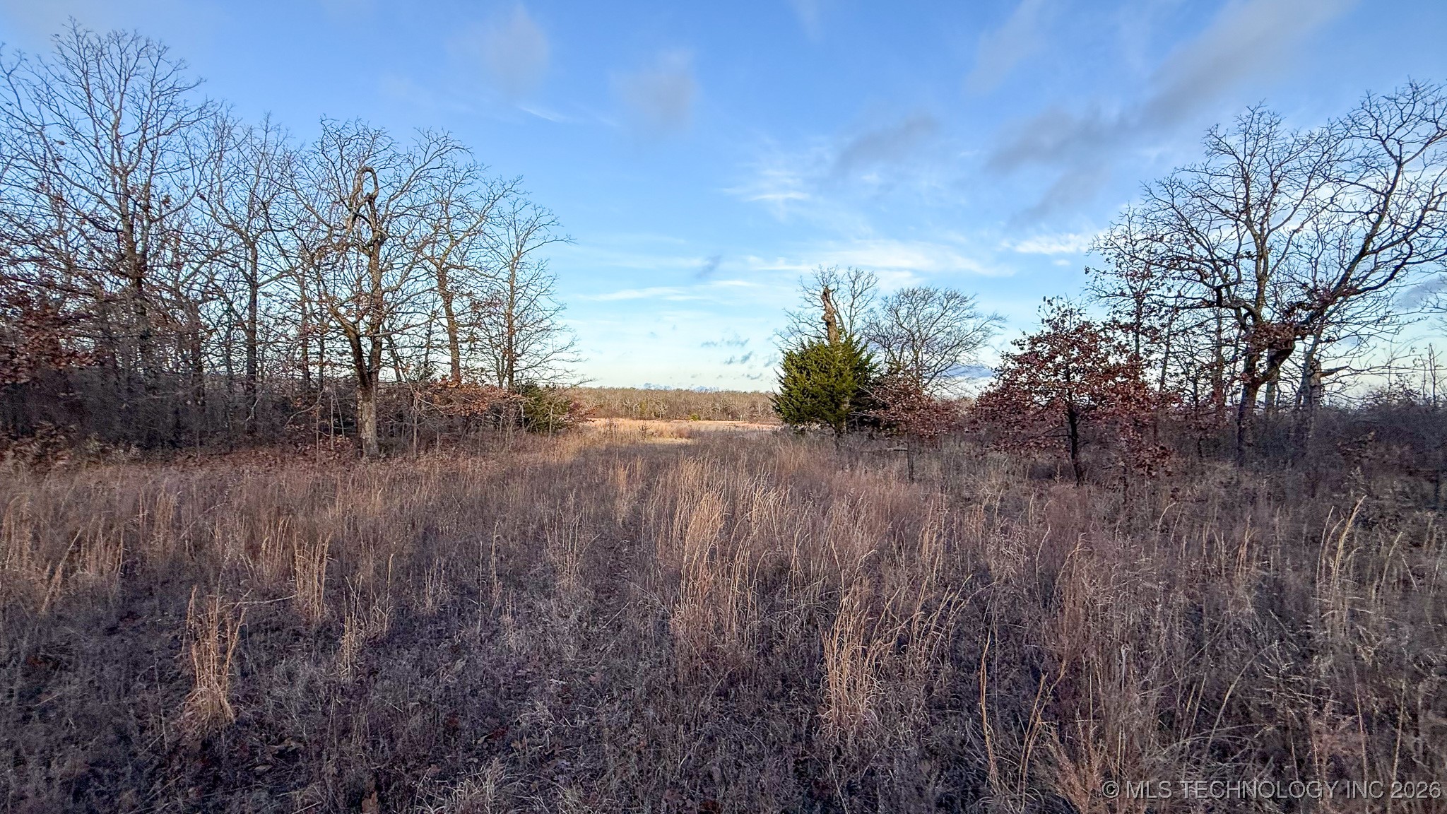 1100 Etchison Road Property Photo 54